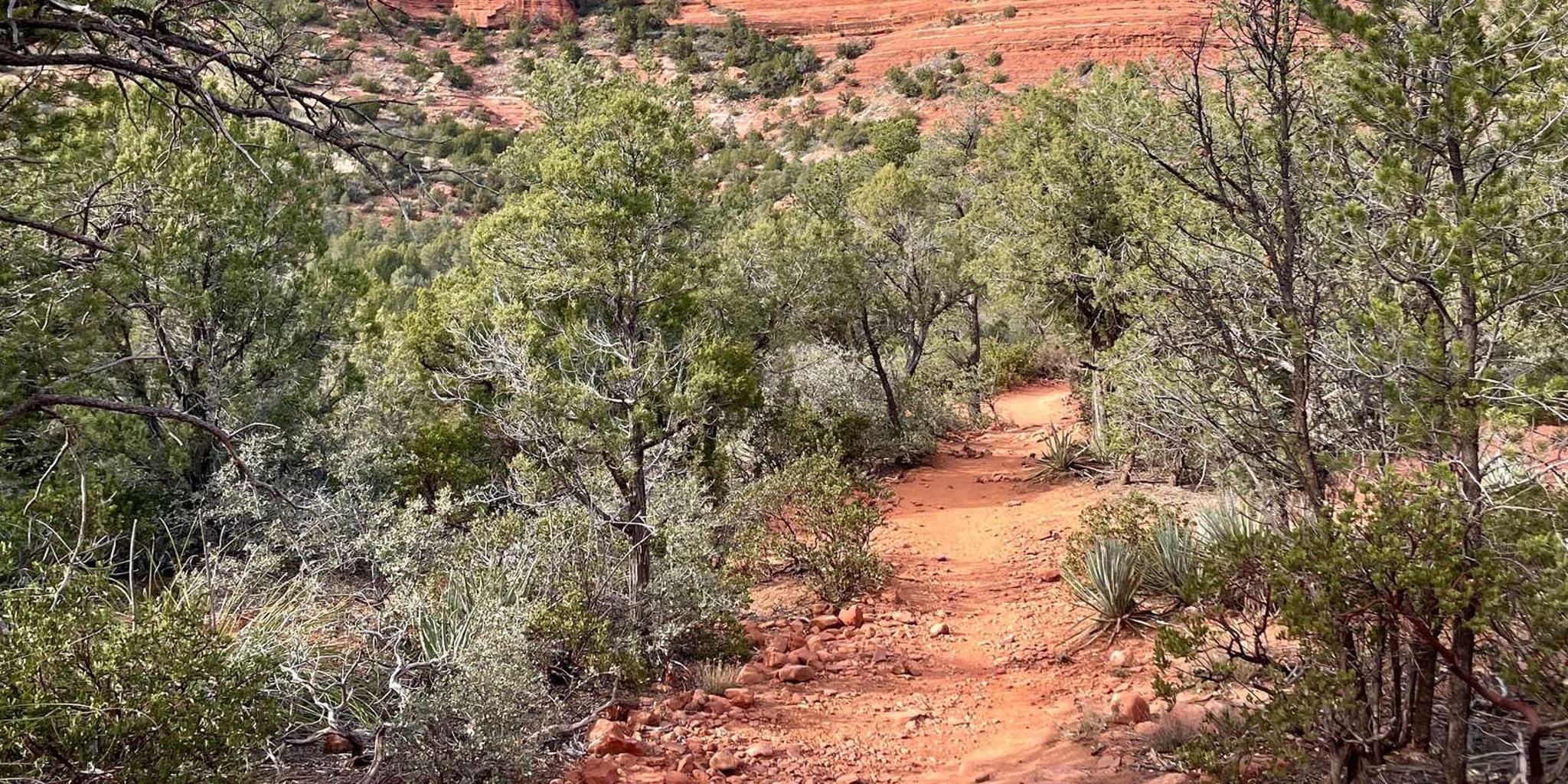 Phoenix Sedona Small-Group Day Tour - Image 4