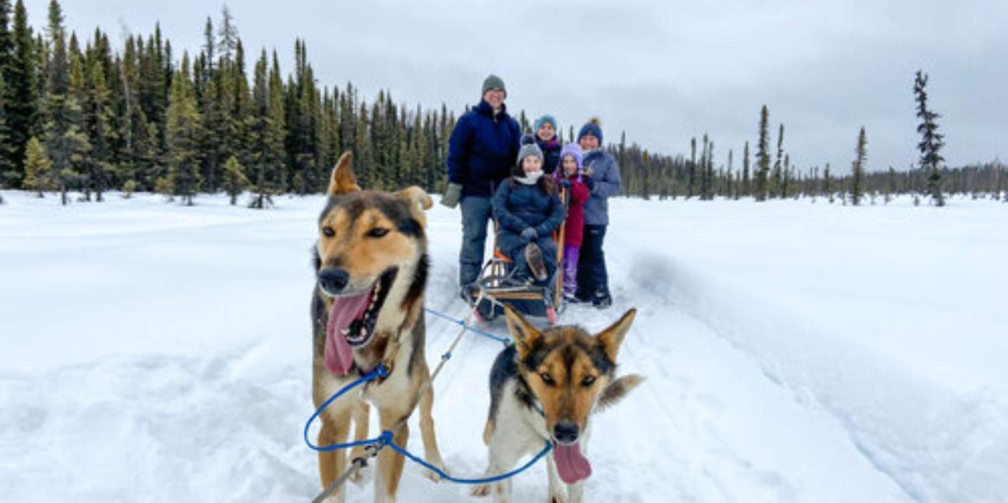 Willow Dog Sledding Adventure - Image 3