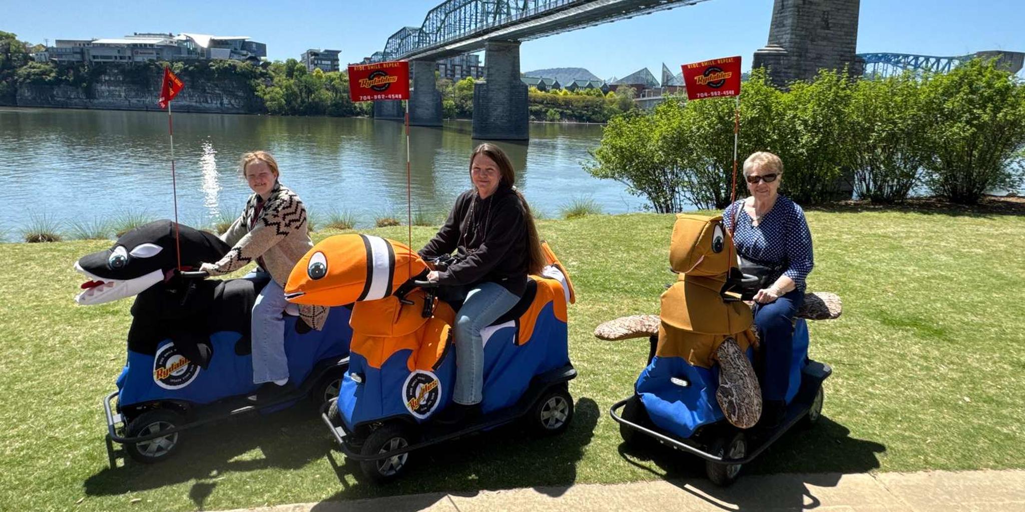 Chattanooga Rydable History Tour 1.5 hr - Image 3