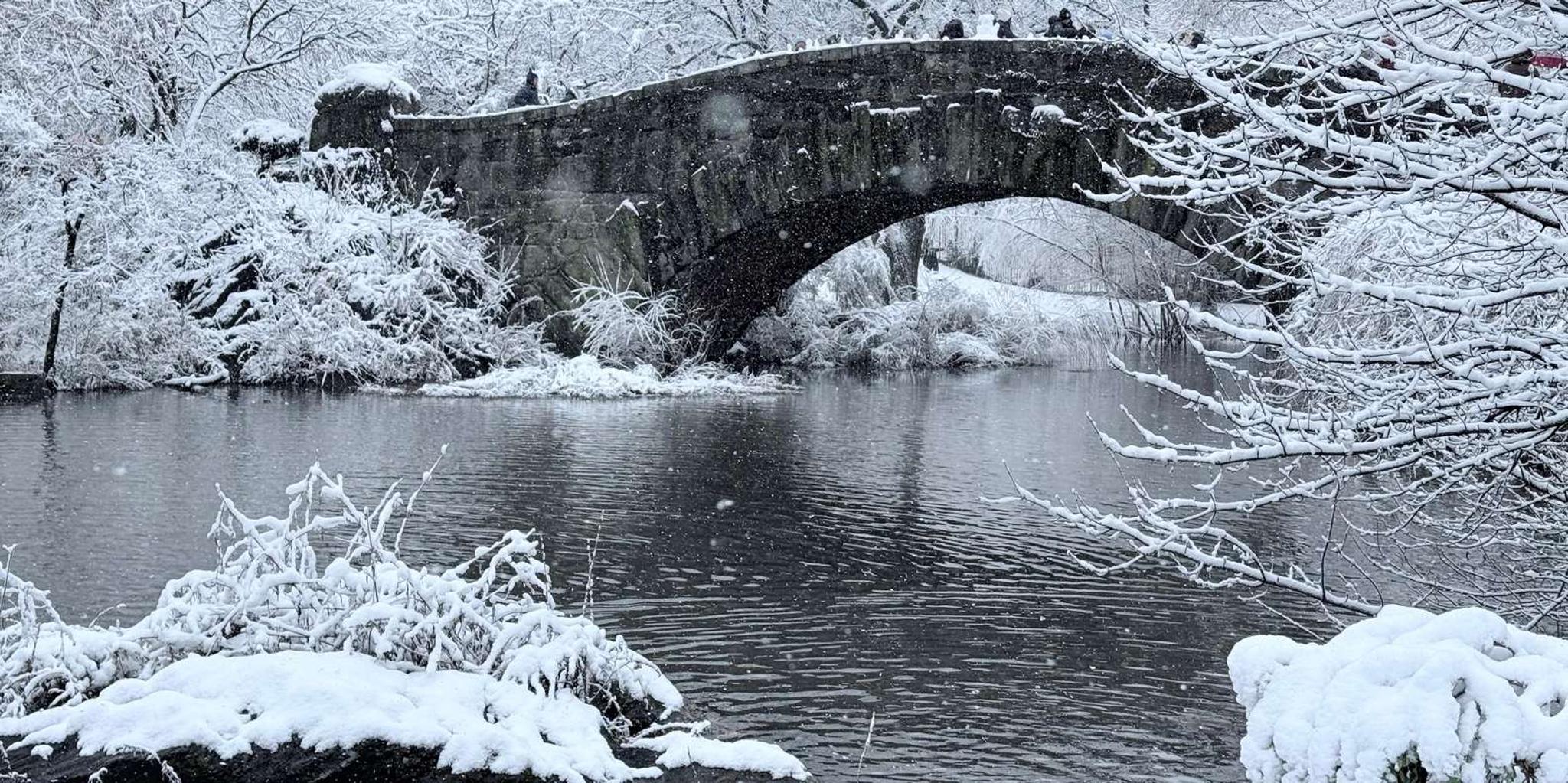 New York Central Park Bike Tour with Movie Locations - Image 4