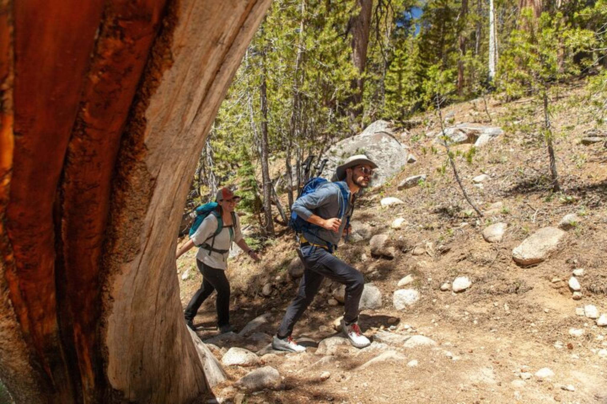 Kings Canyon Private Tour and Hike