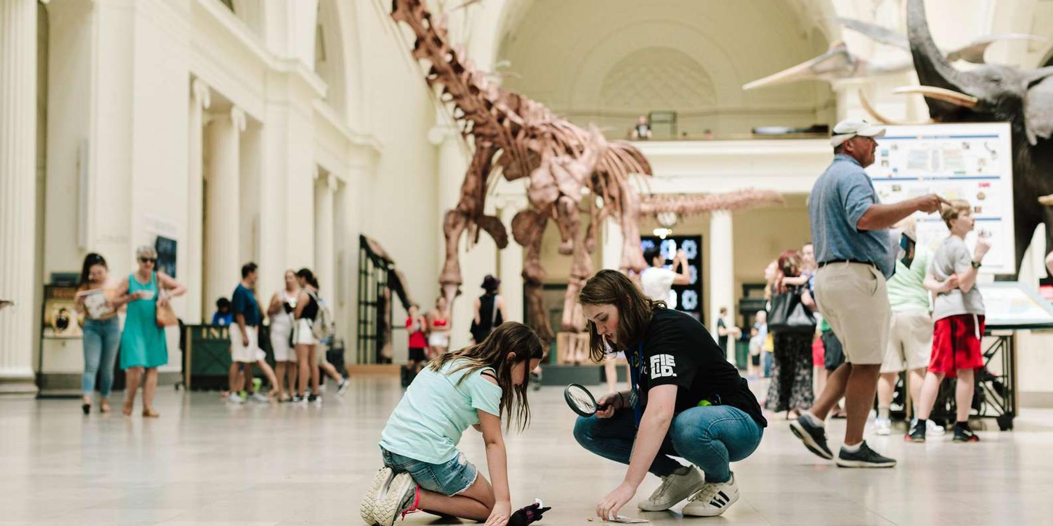Chicago Explorer Pass: Attractions & Tours - Image 5