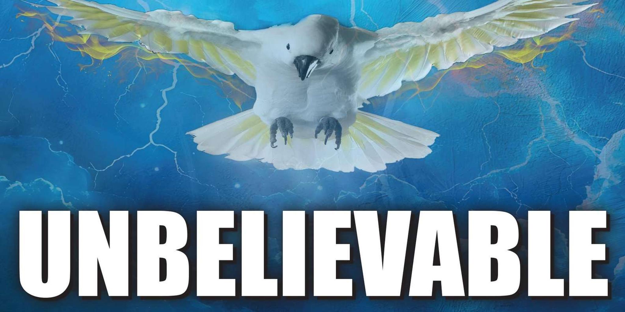 Branson New Year's Eve Celebration - Image 1