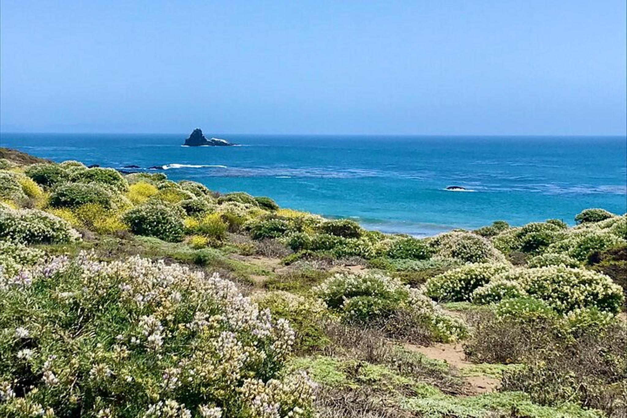 California Central Coast Private Tour - Image 4