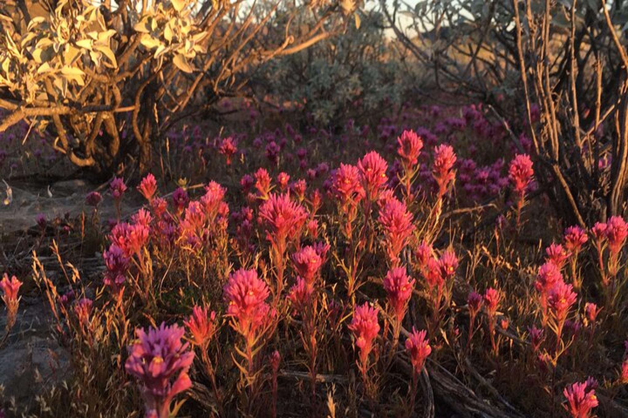 Grand Canyon Ecotour with Lake Powell and Zion 7 Days - Image 5