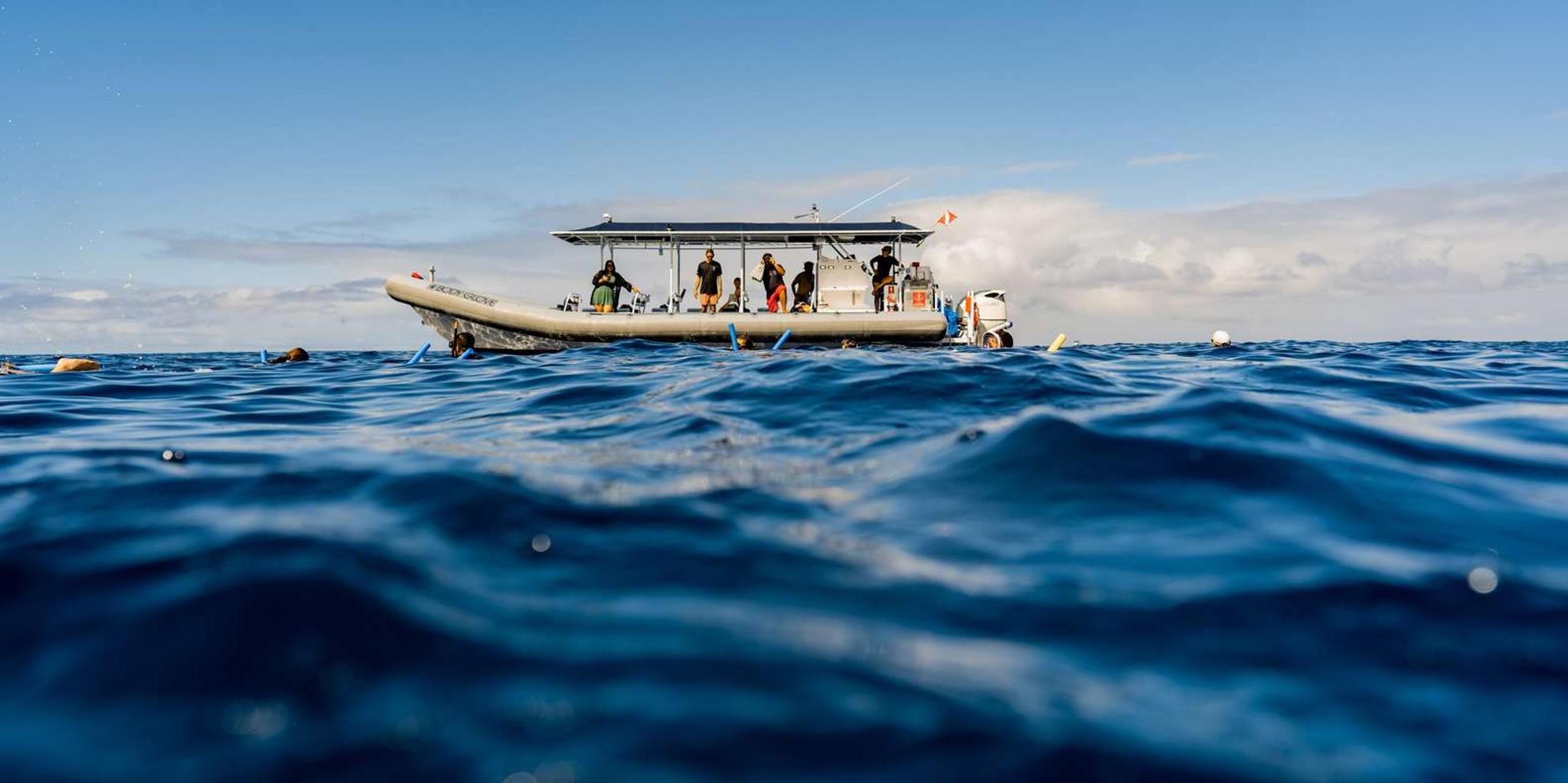 Kailua-Kona Snorkeling Tour with Lunch 4 hr - Image 4