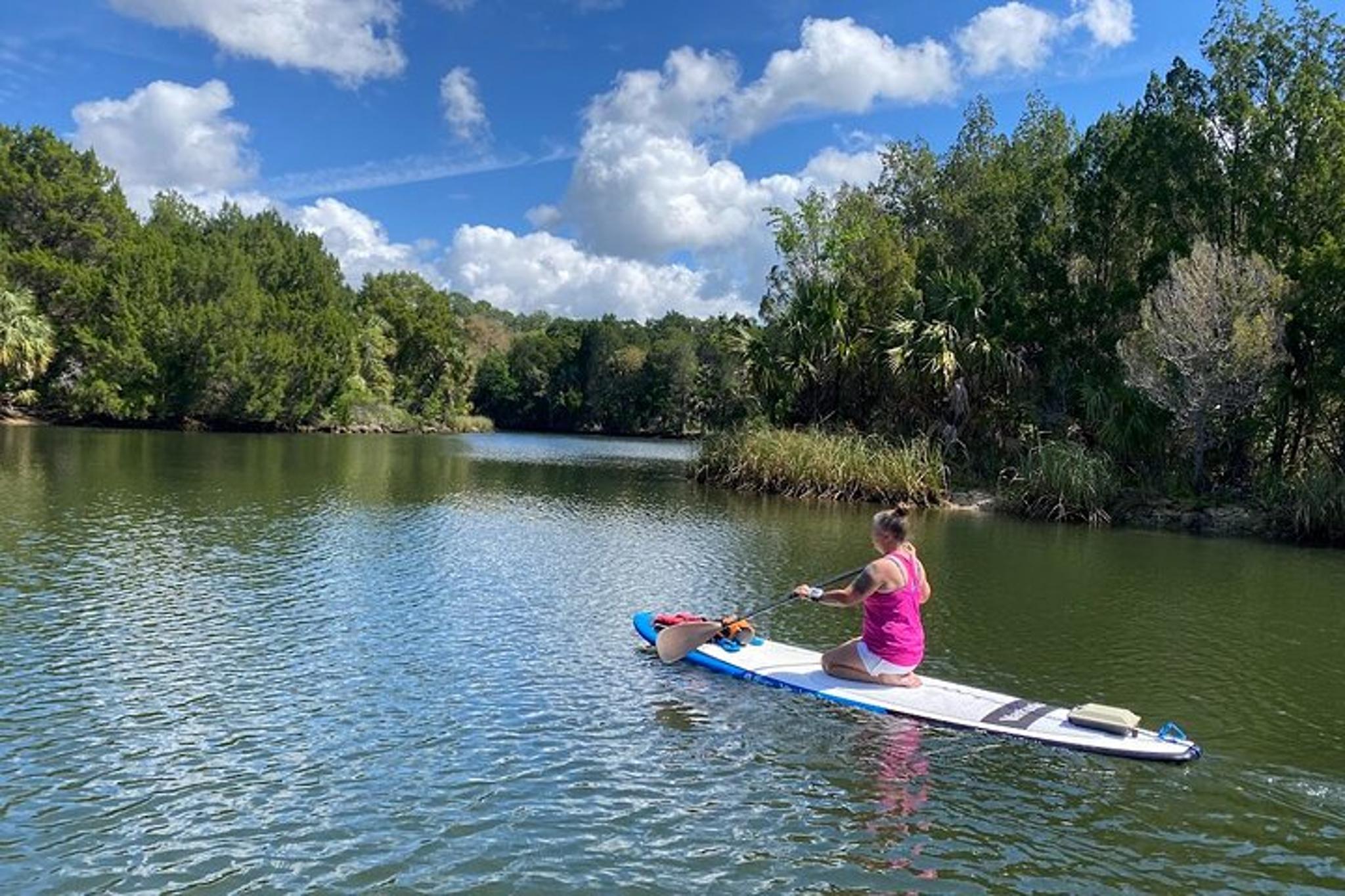 Crystal River Electric Paddleboard Tour - Image 4