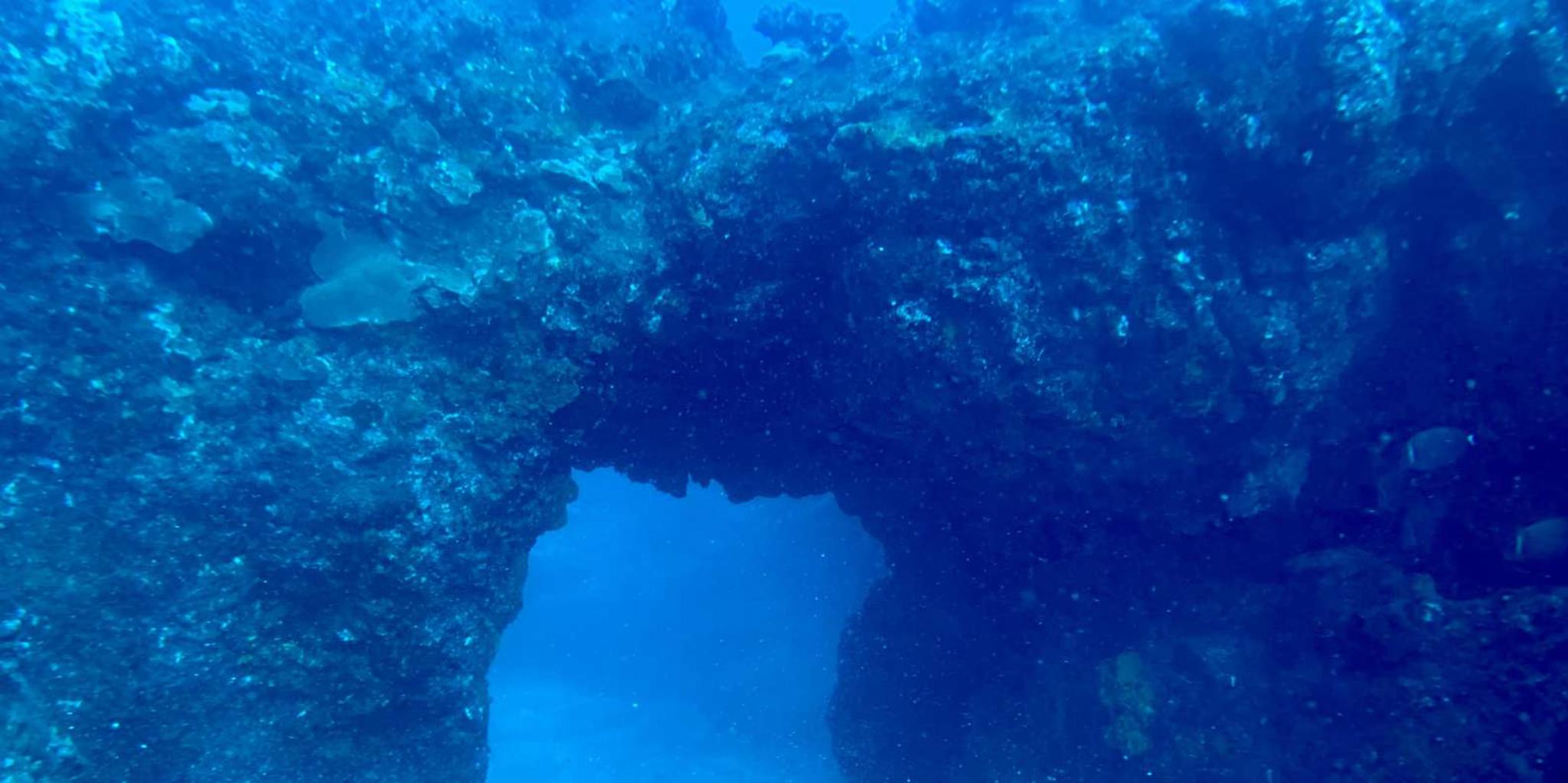 Hilo Night Dive for Certified Divers - Image 5