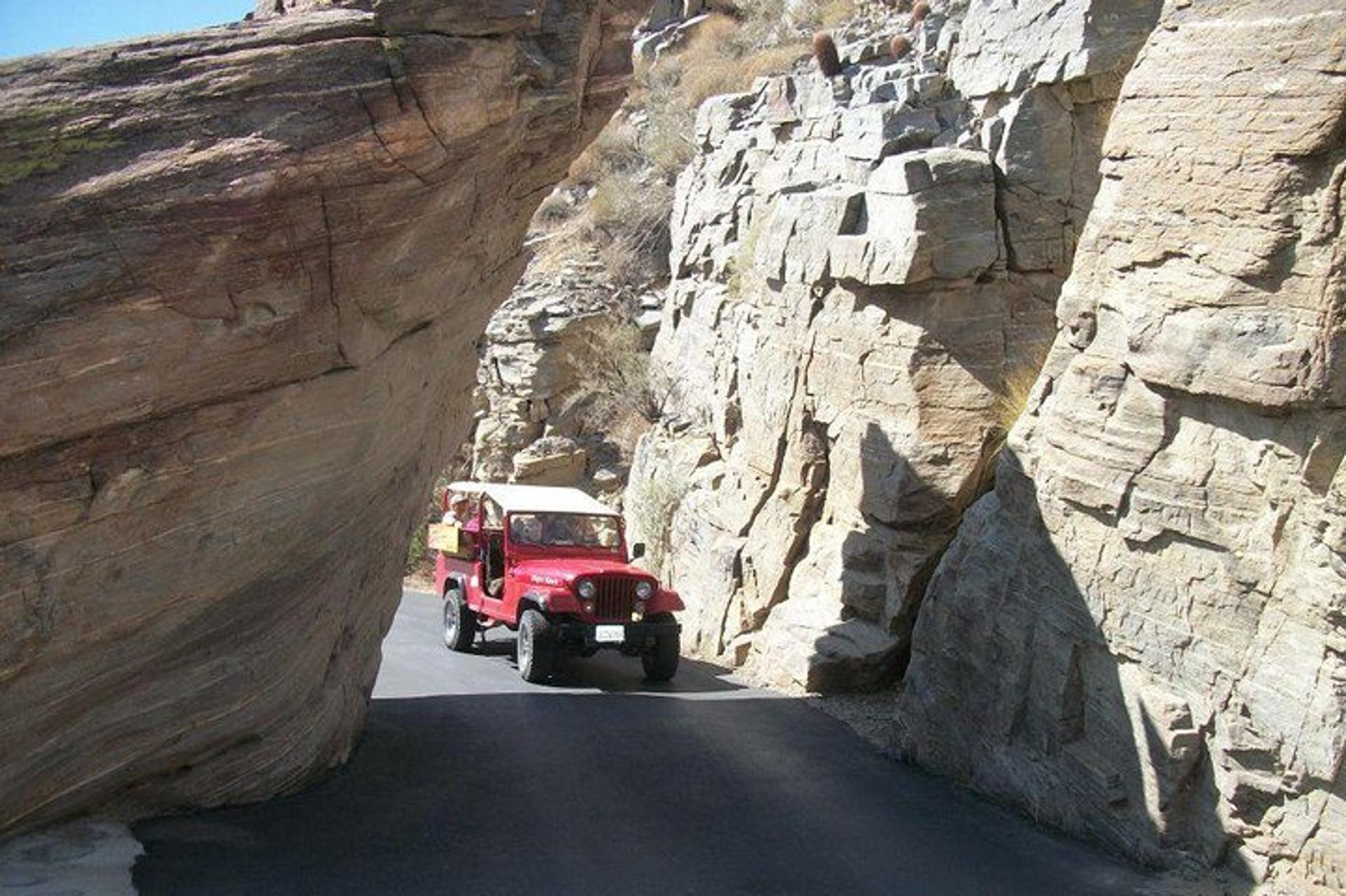 Palm Springs Indian Canyons Jeep Hiking Tour - Image 5