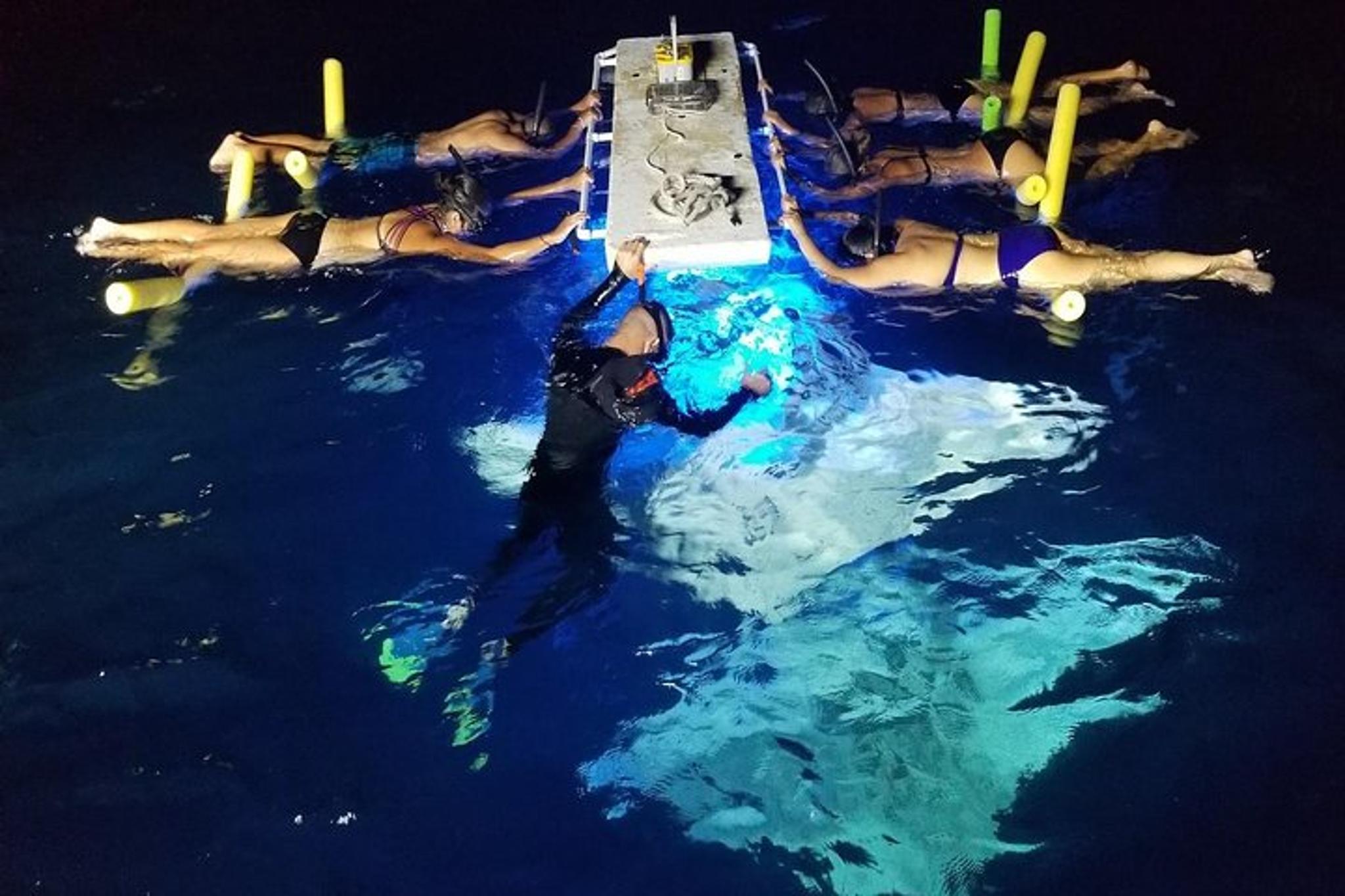 Kona Manta Ray Night Snorkel - Image 2