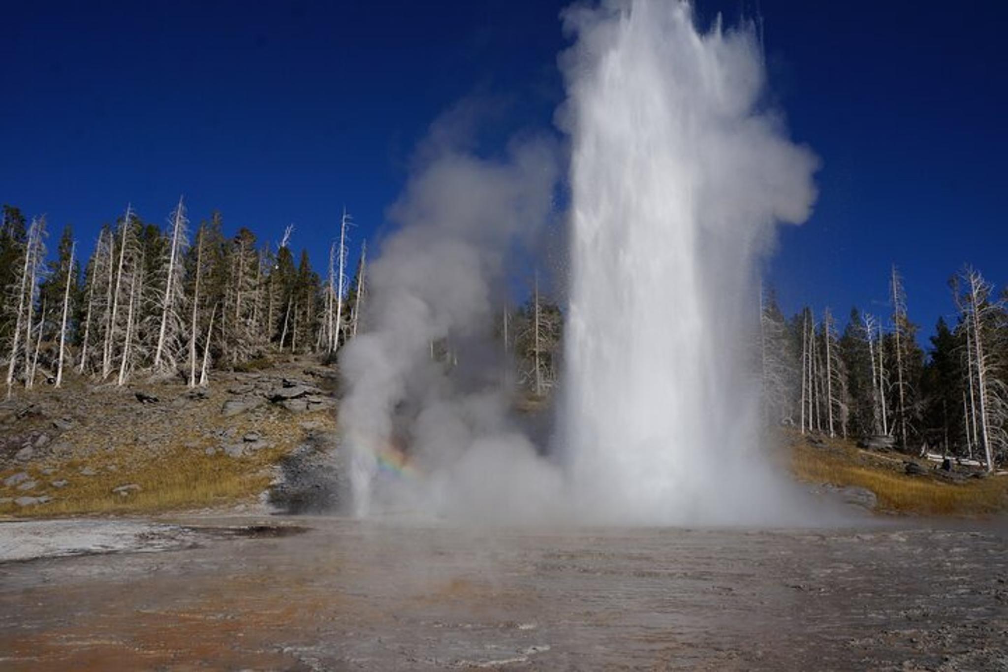 Yellowstone Geyser Basin Private Tour - Image 3