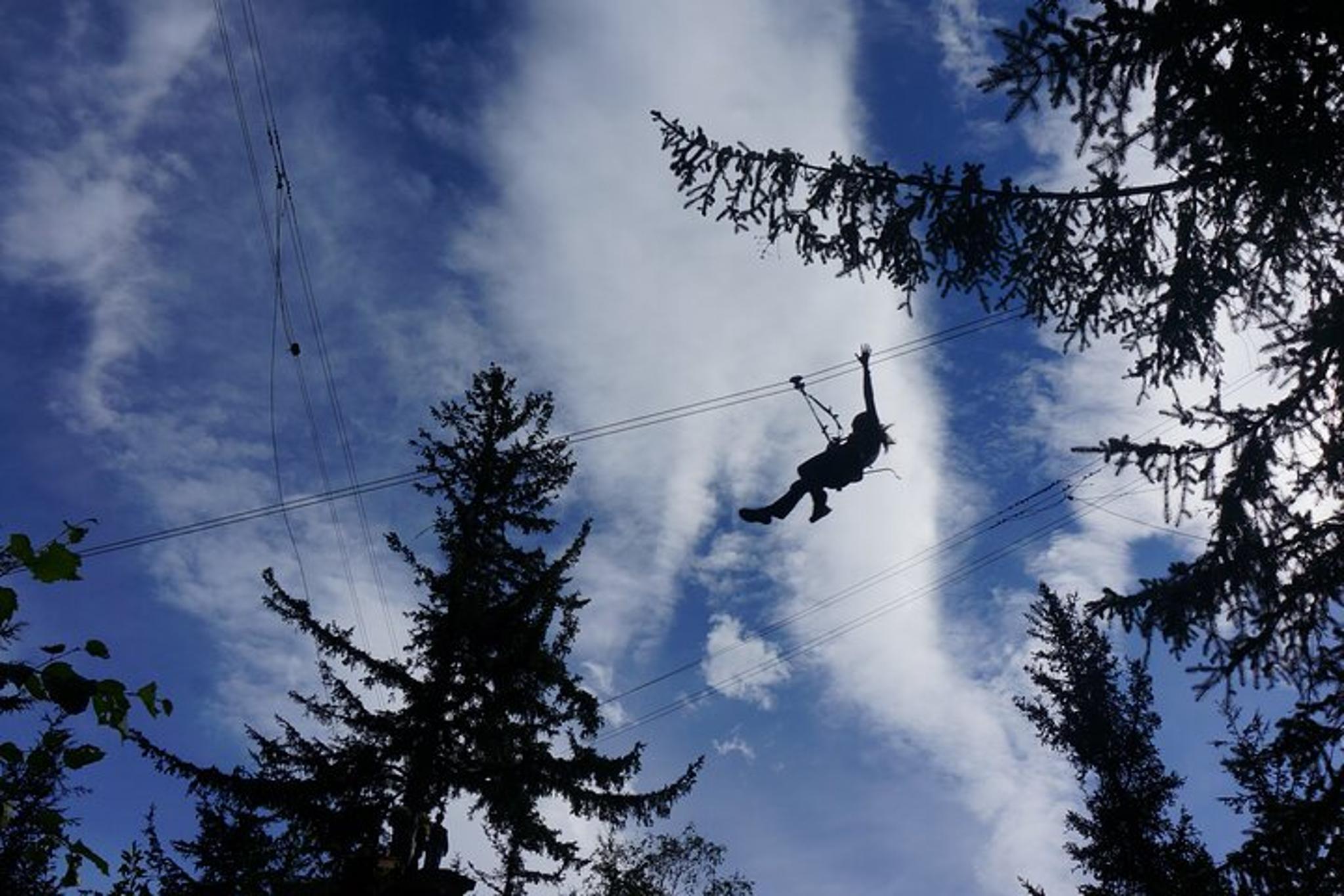 Skagway Adventure Park & Zipline Tour - Image 6