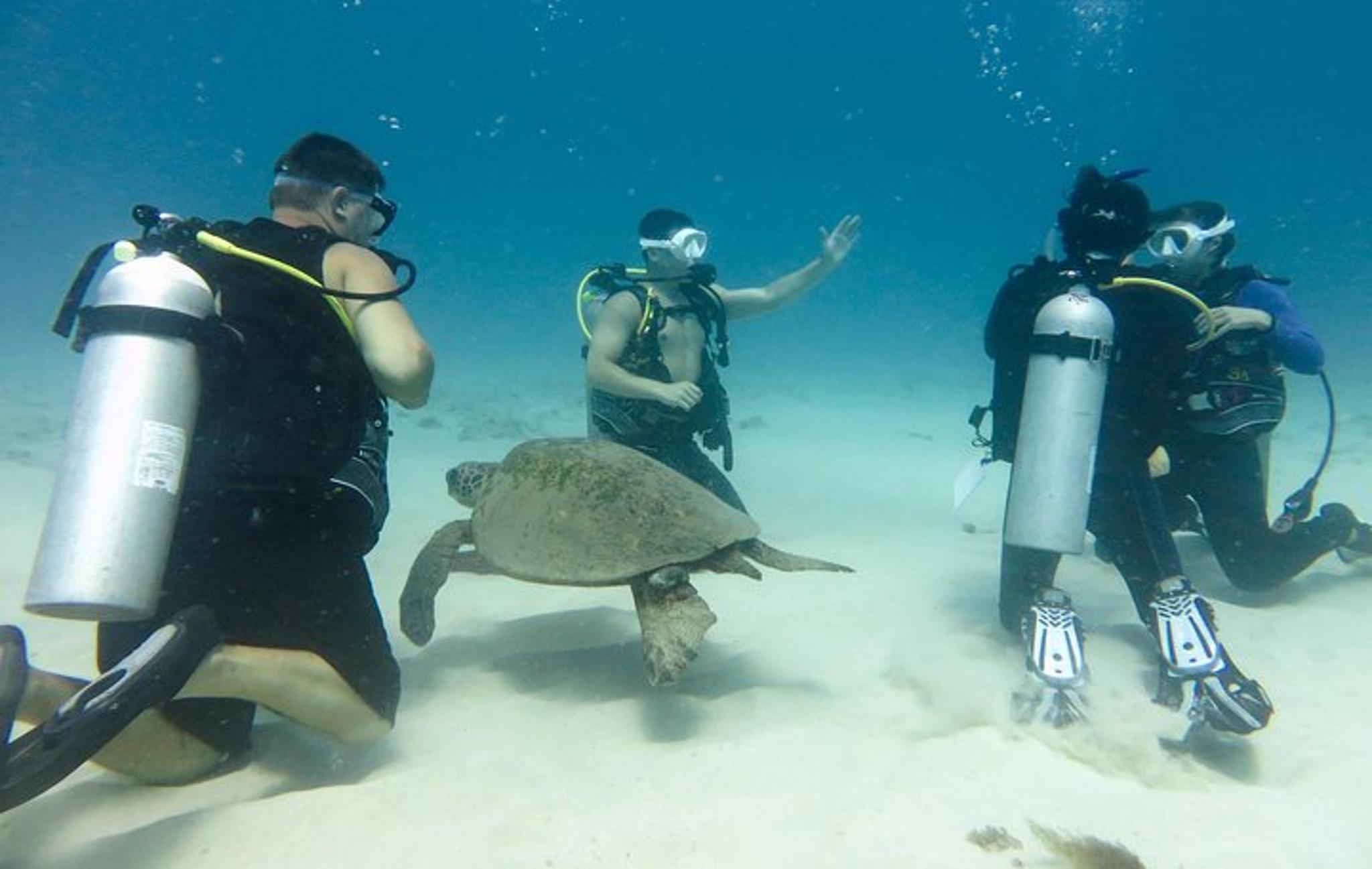 Honolulu Open Water Scuba Certification - Image 2