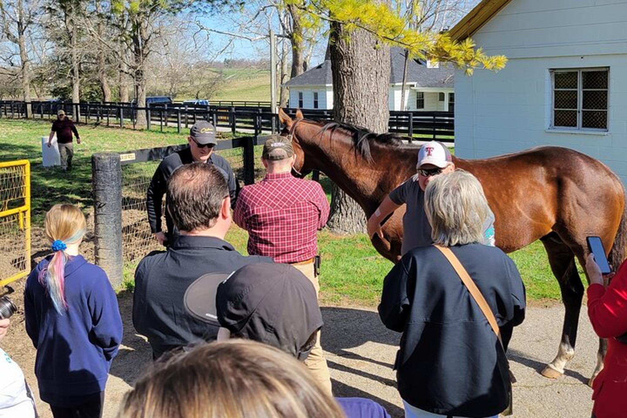 Lexington Triple Crown Experience - Image 6