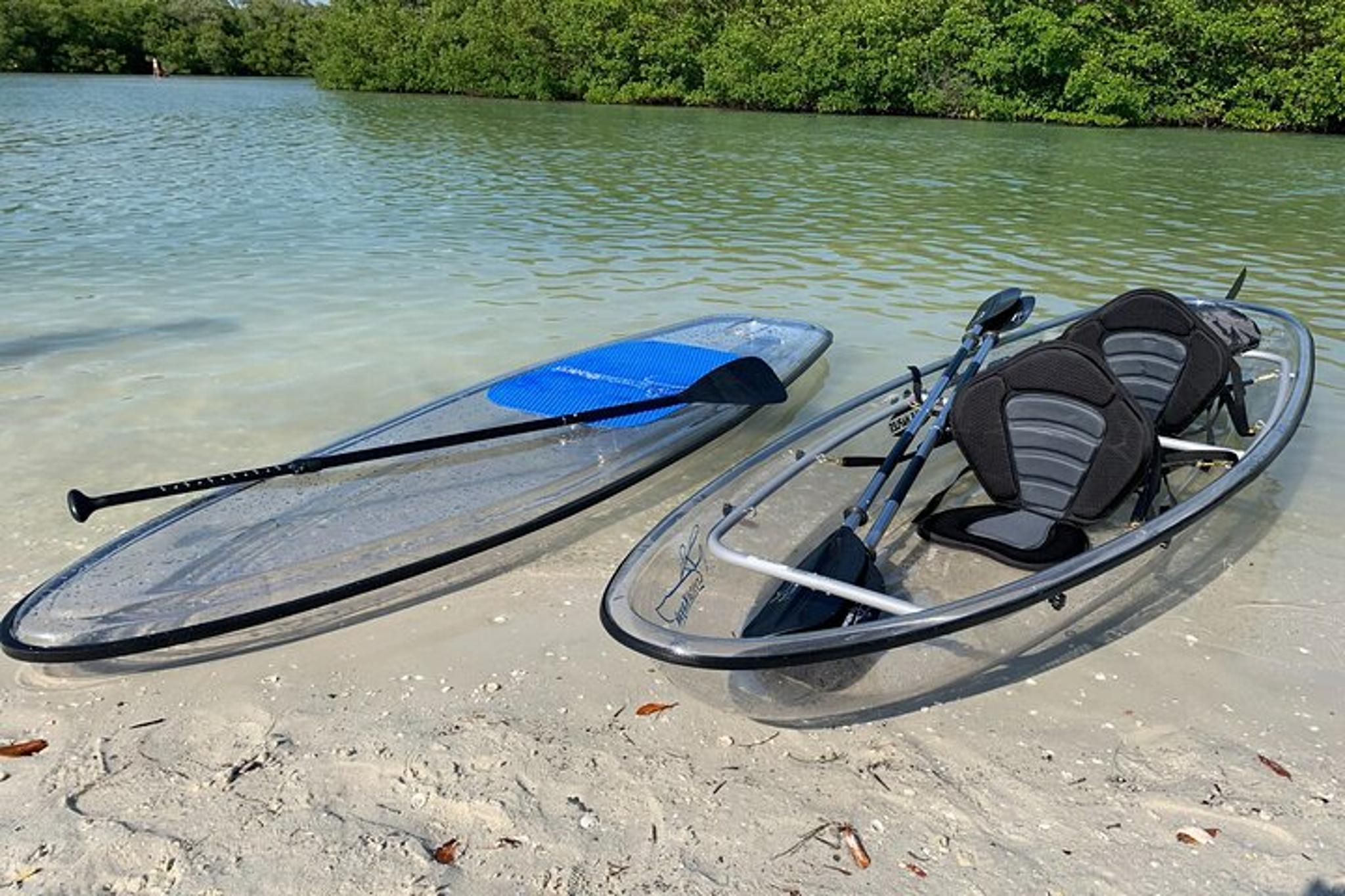 Bonita Springs EcoTour: Clear Kayak and SUP - Image 3