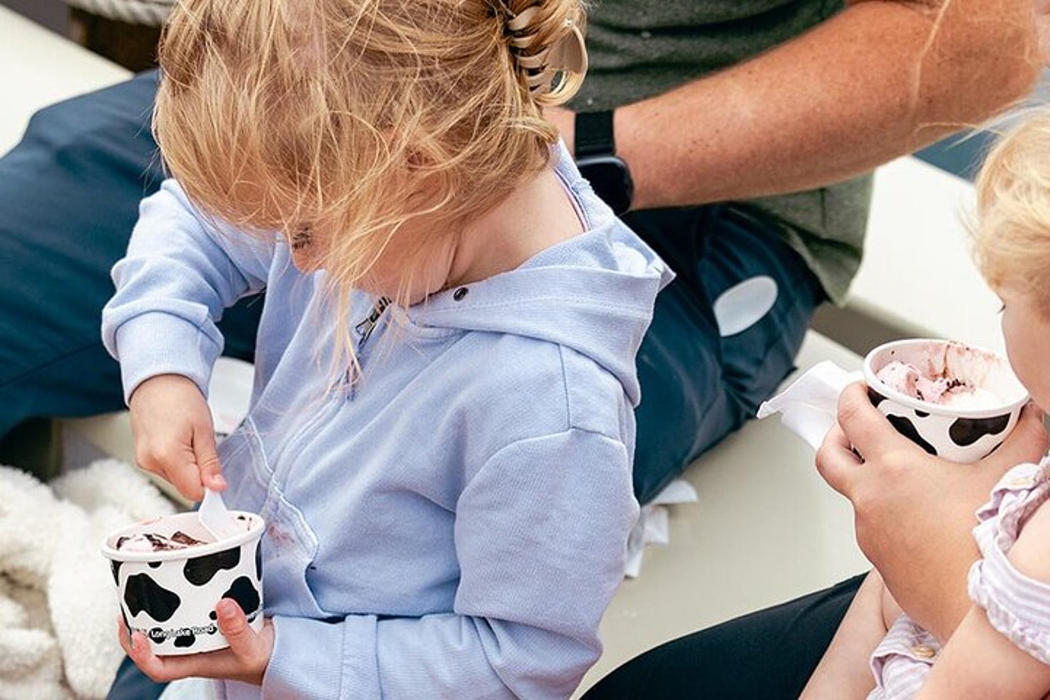 Traverse City Ice Cream Sail