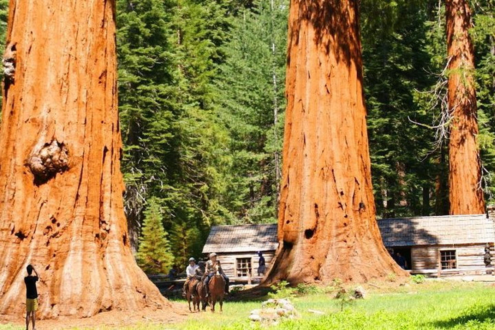 Yosemite Grand Experience 4-Day Tour - Image 5