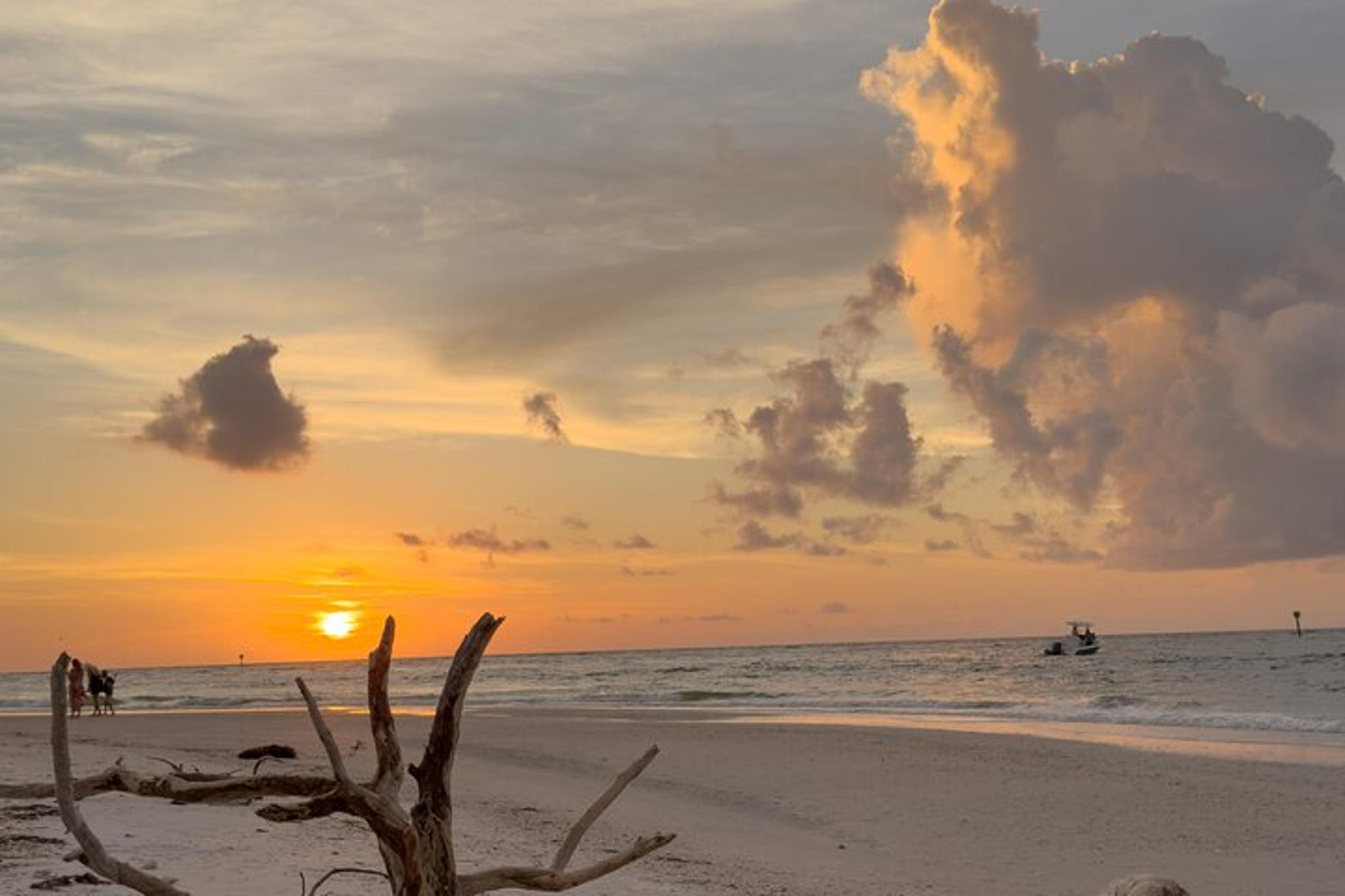 St. Pete Dolphin Watching and Island Sunset Cruise - Image 6