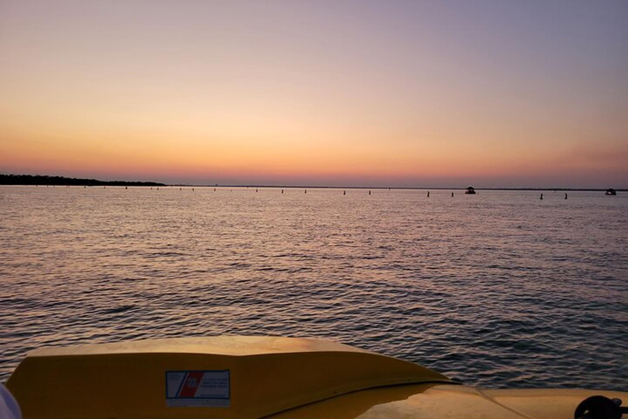 Destin Dolphin and Sunset Tour on Hydro Rocket 1 hr - Image 4
