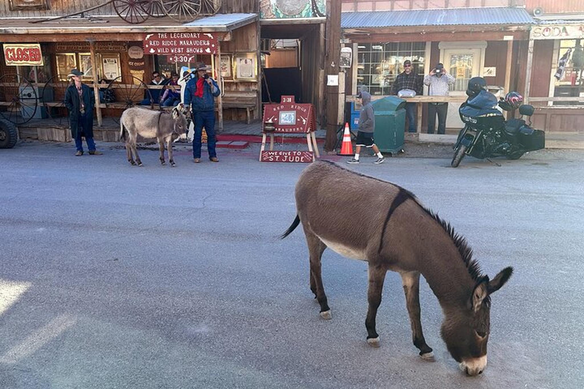 Laughlin Historic Route 66 Tour - Image 2