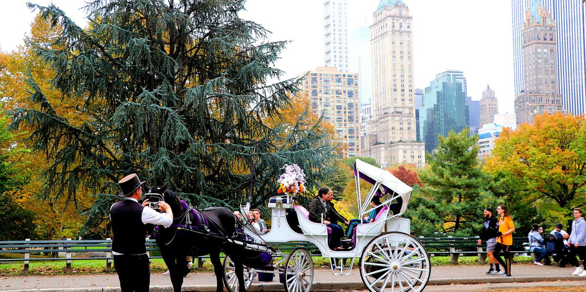 New York City Central Park Horse Carriage Ride - Image 2