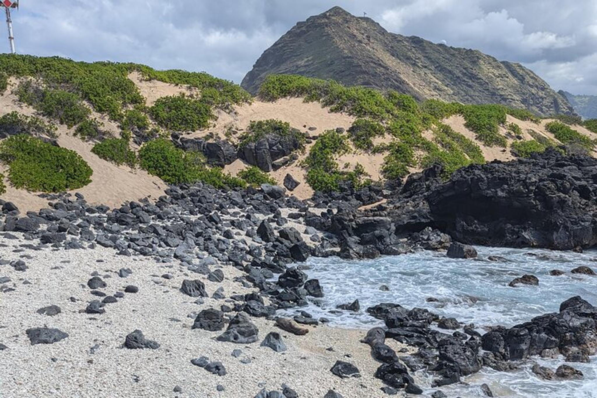 North Shore Tour - Image 3