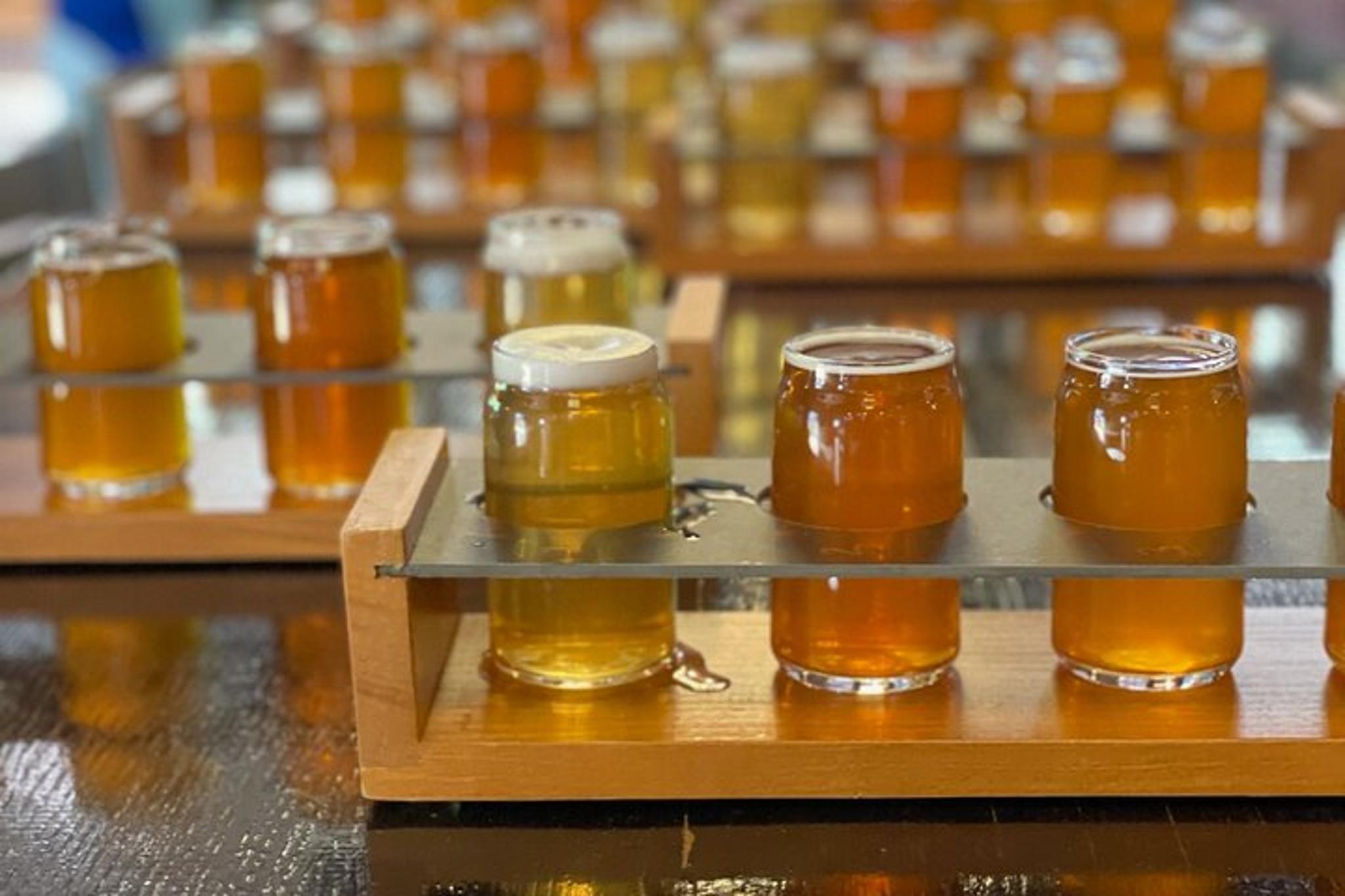 Nashville Brewery Trolley Tour - Image 3