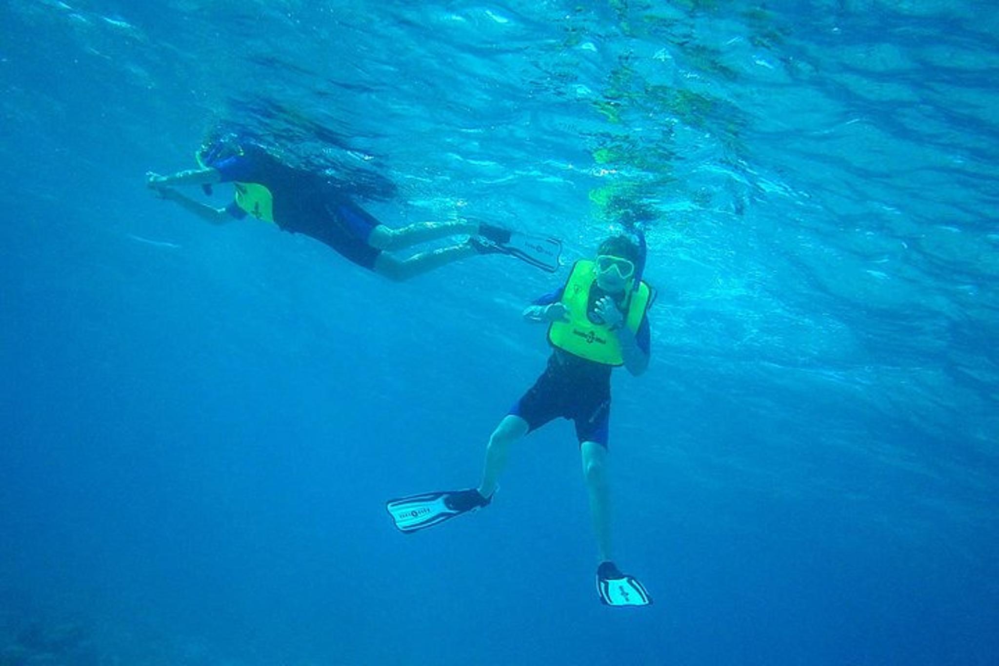 Key Largo Private Snorkel Tour - Image 2