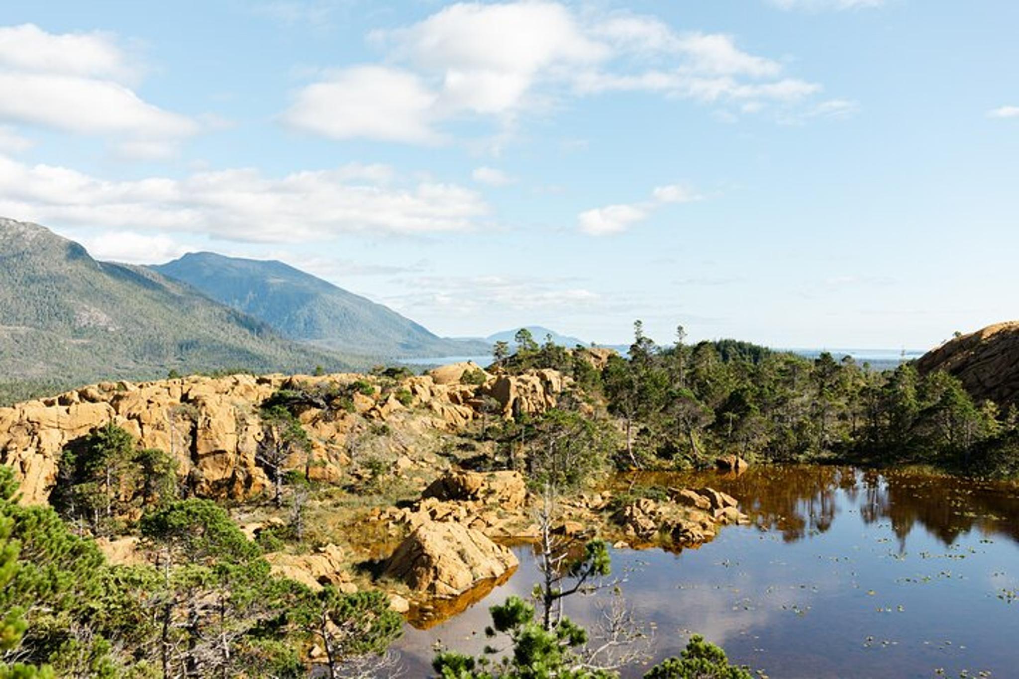 Ketchikan Cruise, Hike, and Cultural Immersion - Image 2