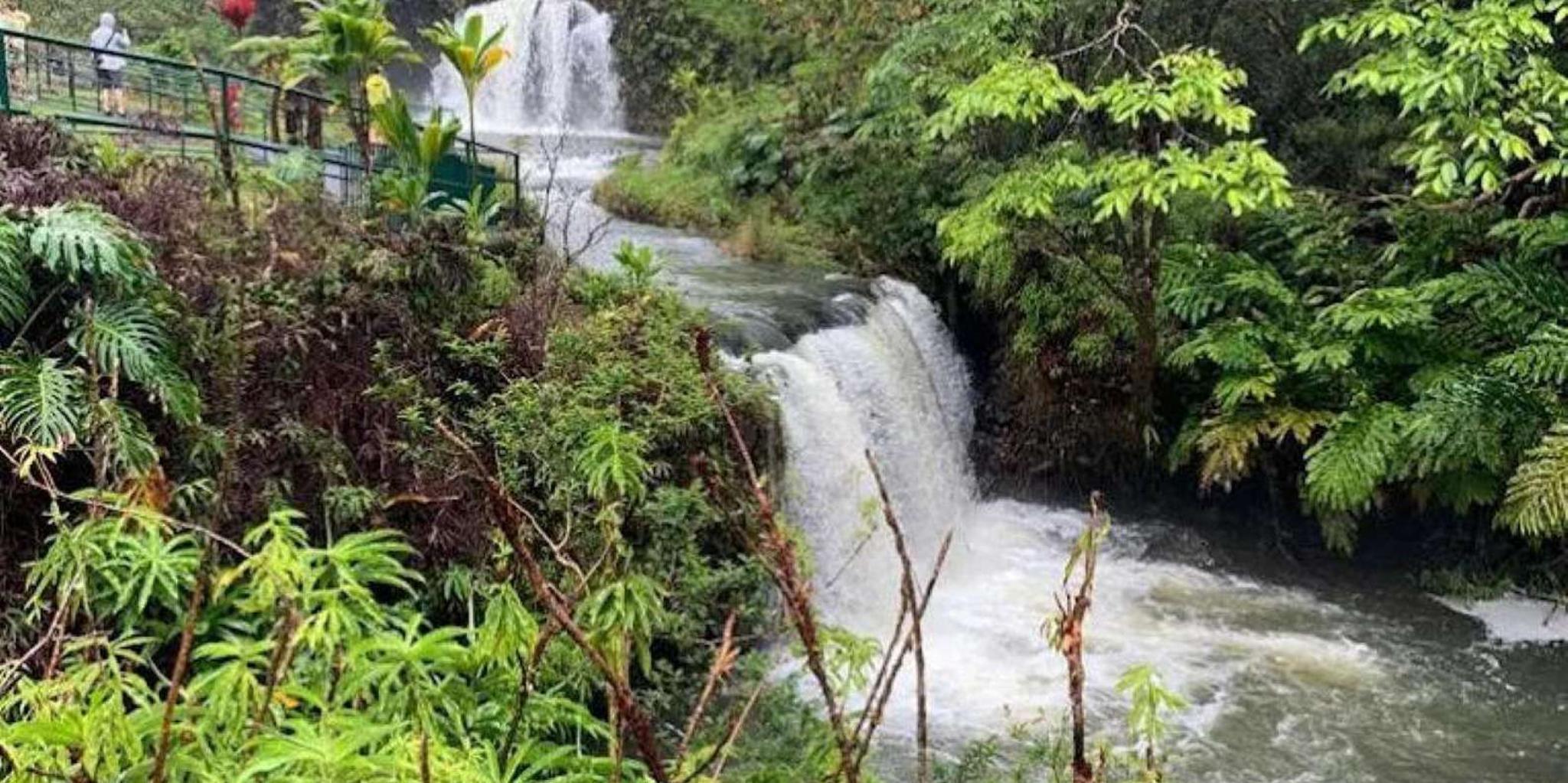 Maui Haleakalā National Park Sunset Tour - Image 2