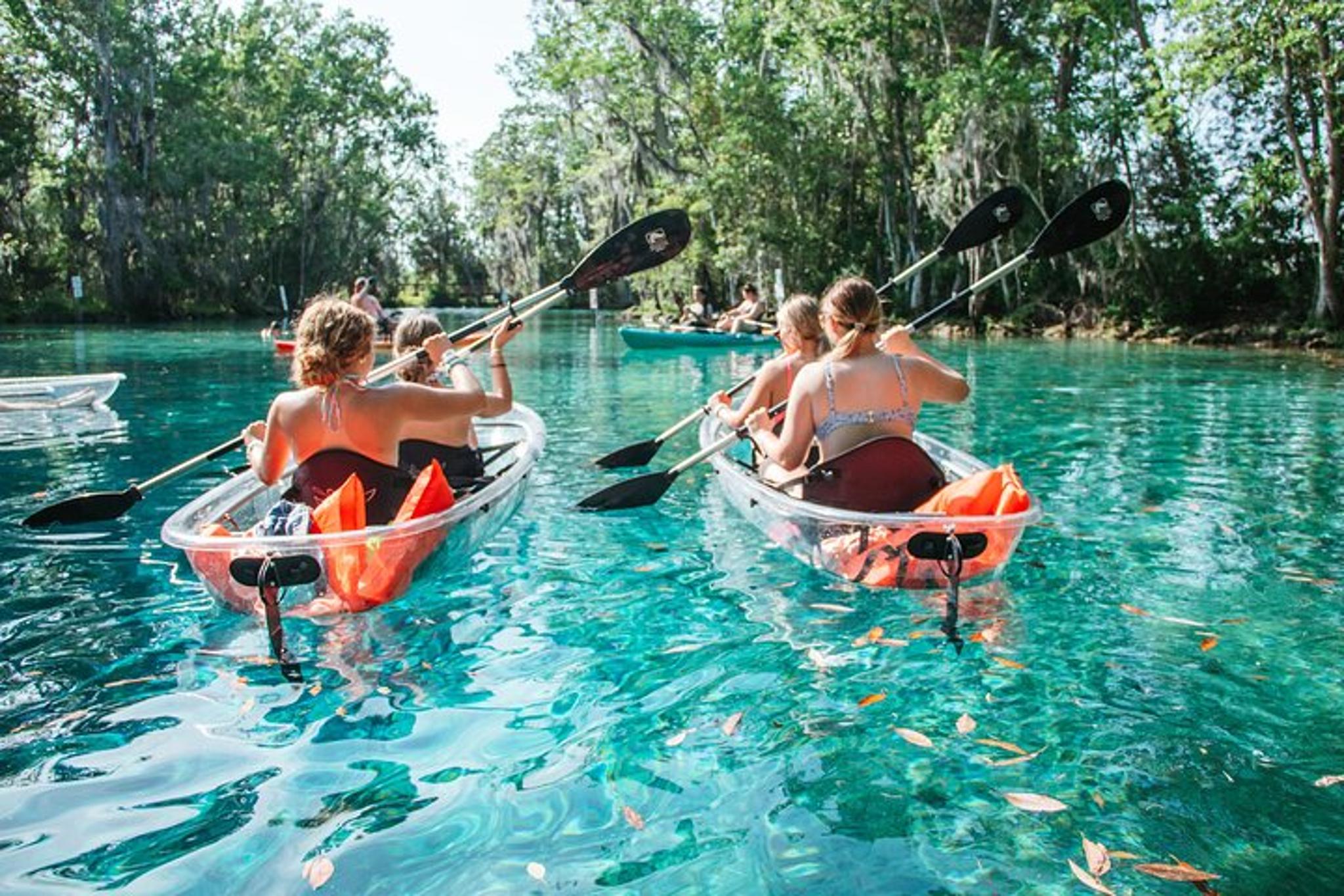 Crystal River Clear Kayak and Snorkeling Tour - Image 5