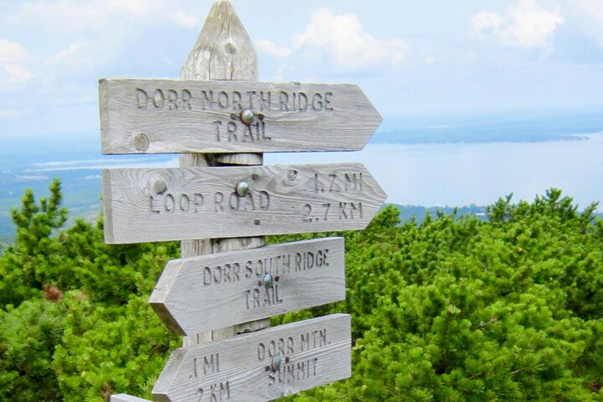 Acadia National Park & Mount Desert Island Tour - Image 5