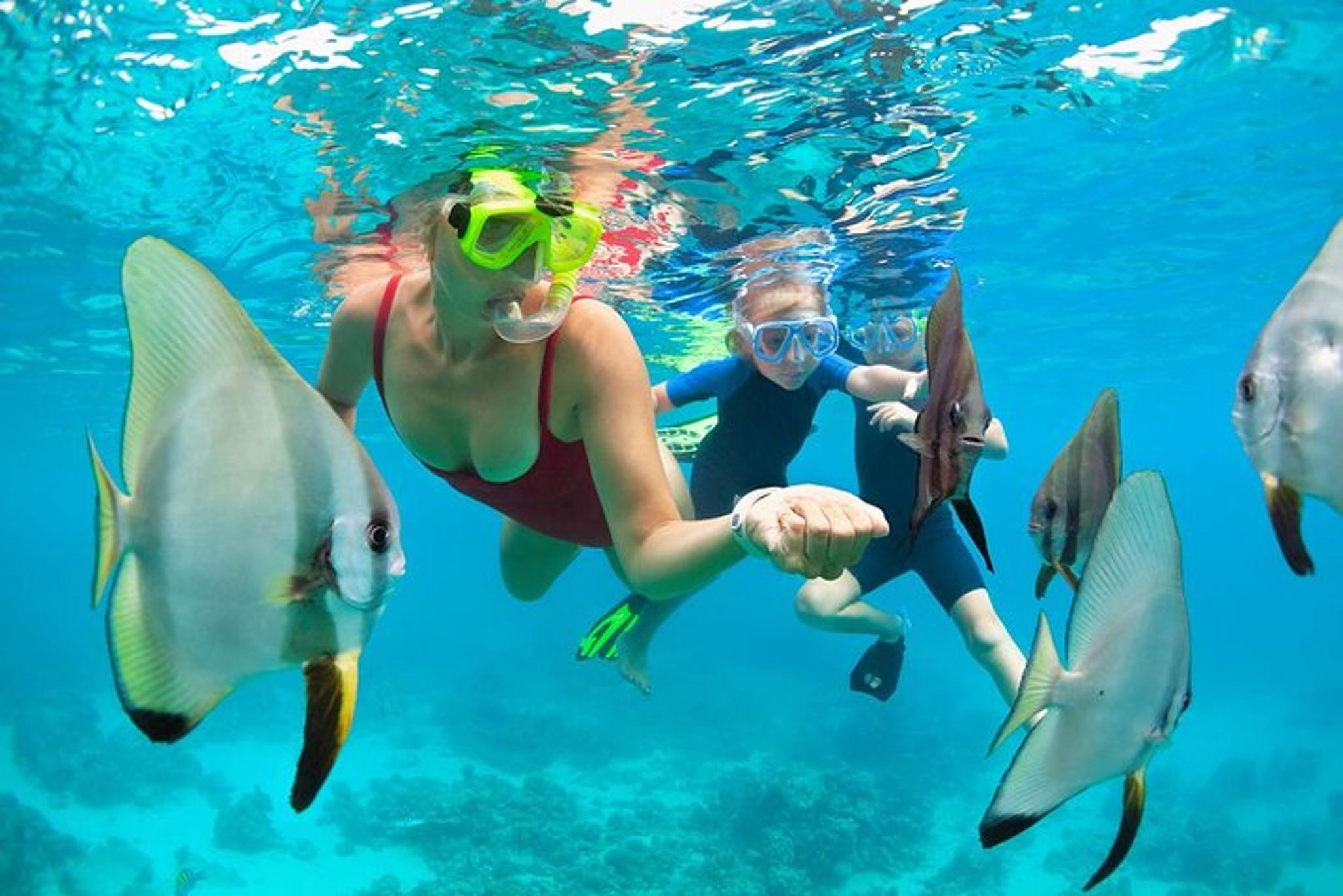Kawaihae Snorkel Adventure Mauna Kea 2 hr