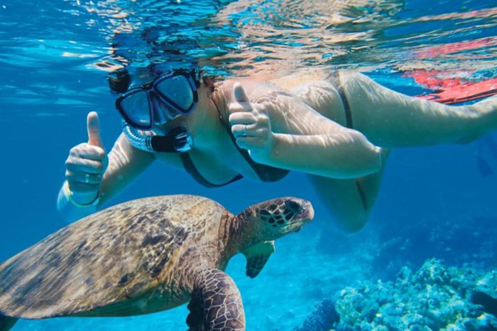 Maui Kayak and Snorkel Adventure