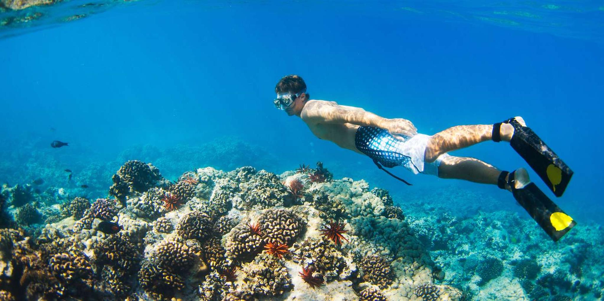 Maui Kayak & Snorkel Tour at Ukumehame - 3 hr - Image 6