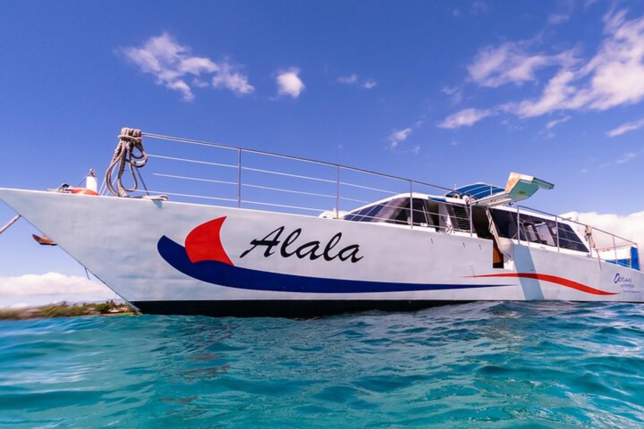 Waikoloa Snorkel Adventure on Power Catamaran - Image 2