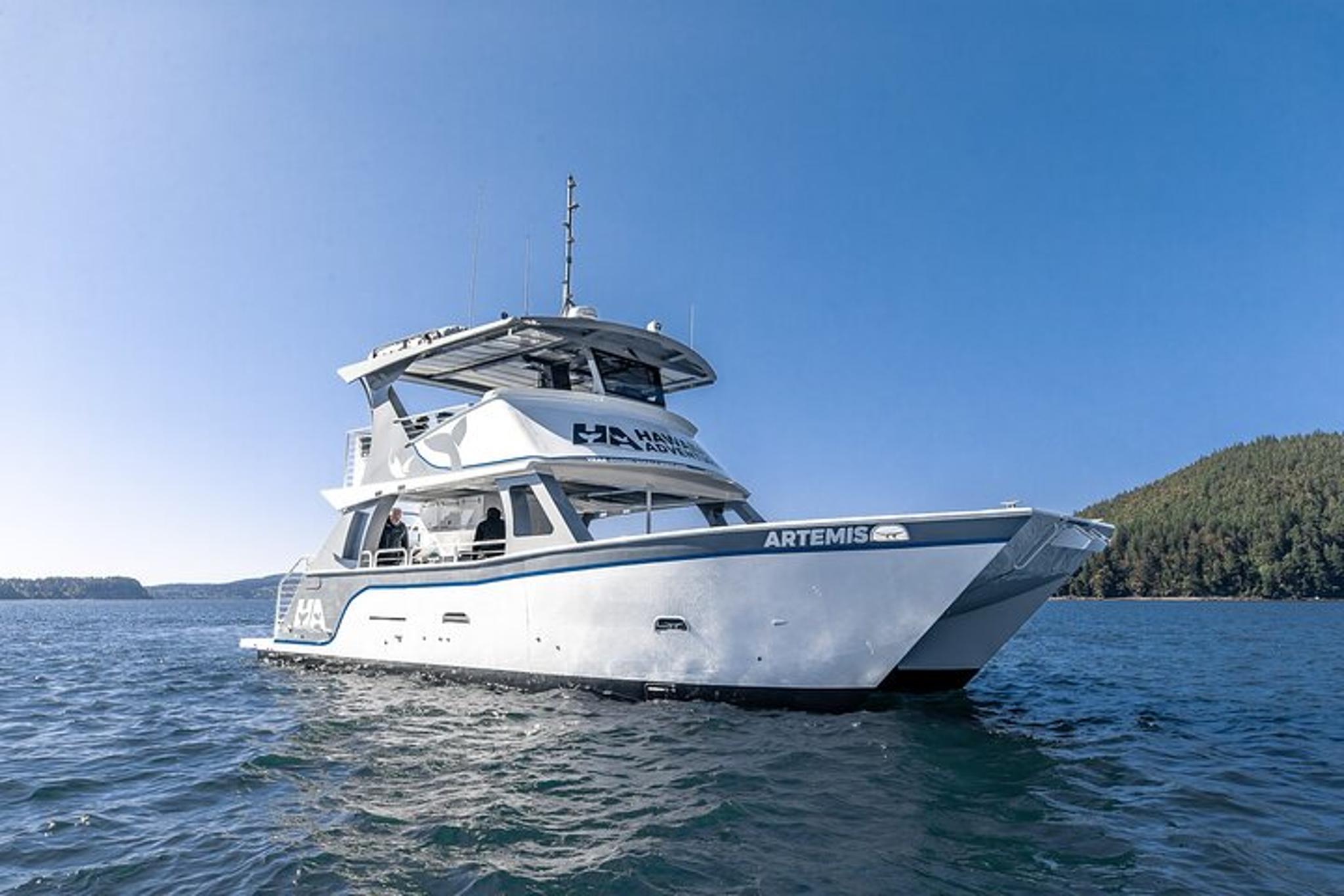 Kona Whale and Dolphin Watching Tour - Image 3