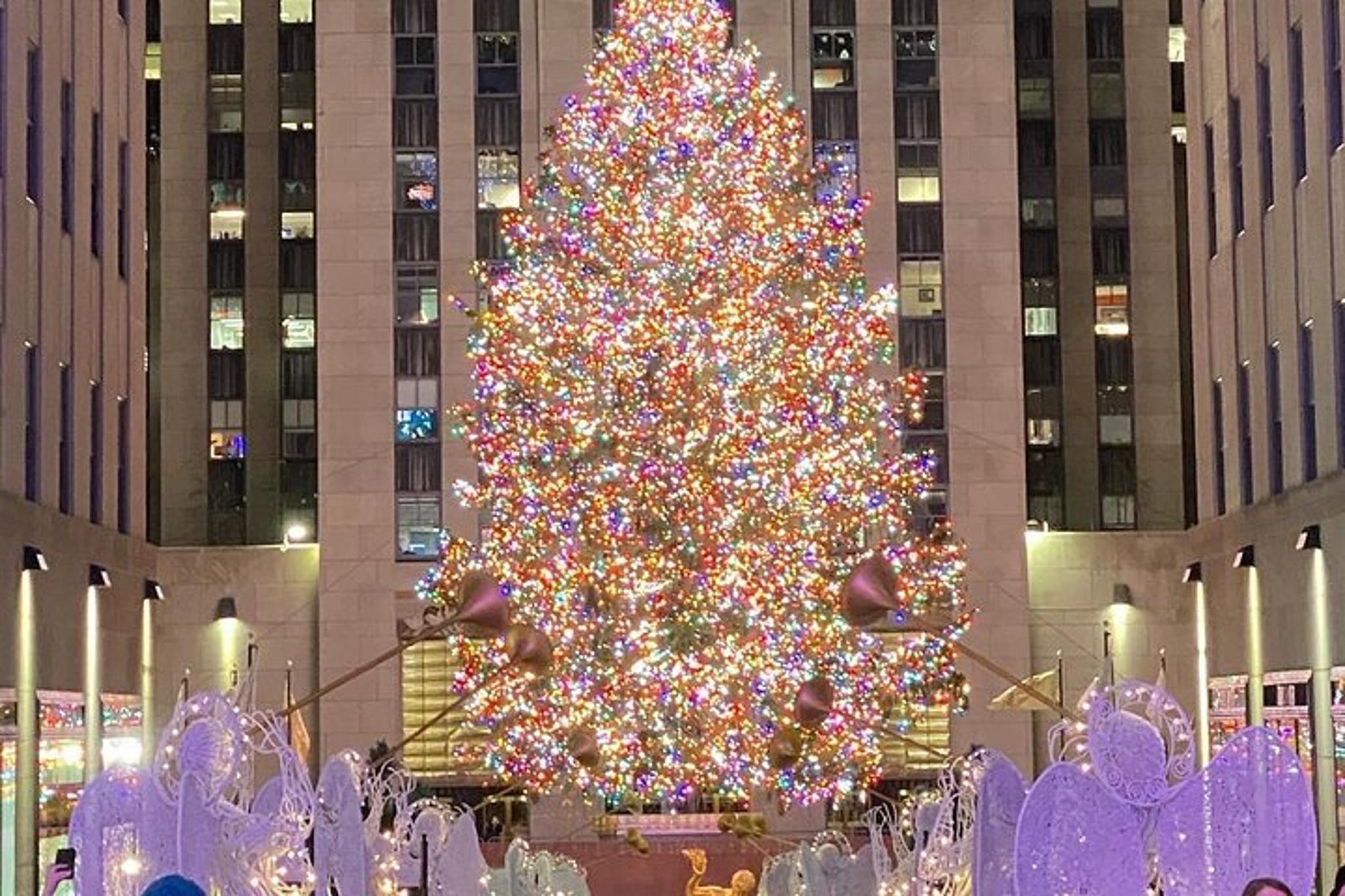 New York City Rockefeller Center Christmas Lights Carriage Ride - Image 3