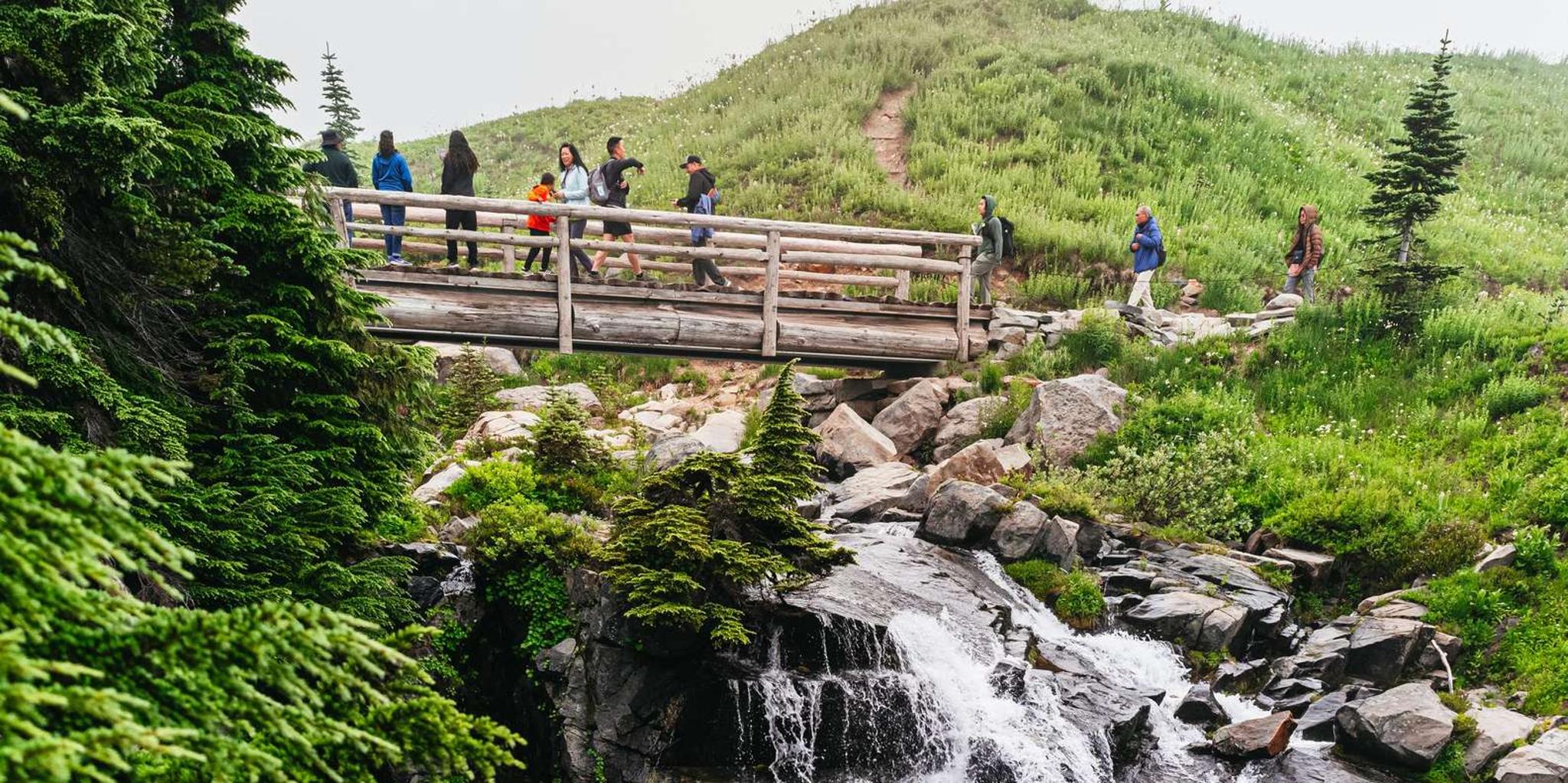 Seattle Mount Rainier National Park Day Tour