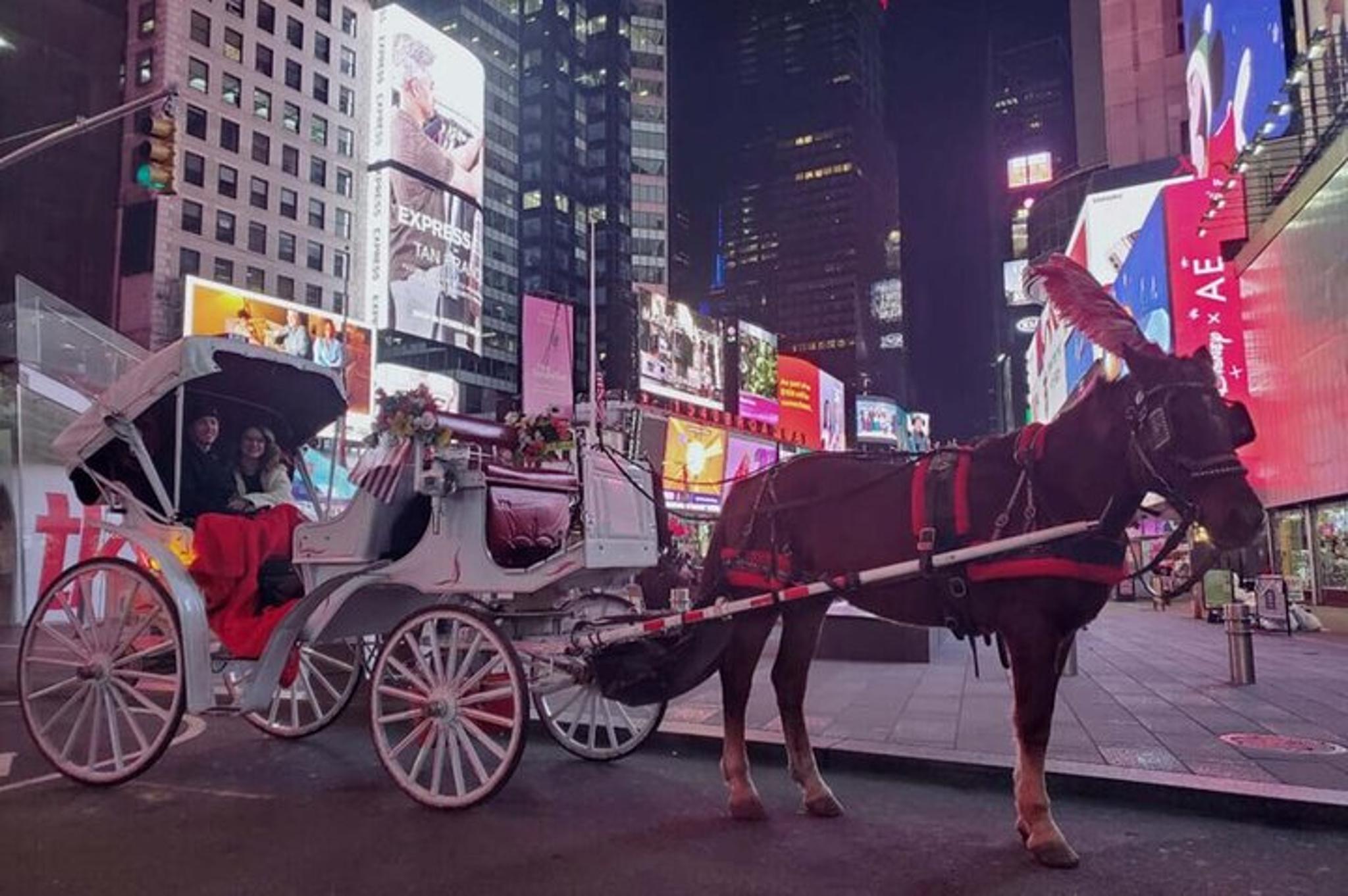 New York City Christmas Light Tour