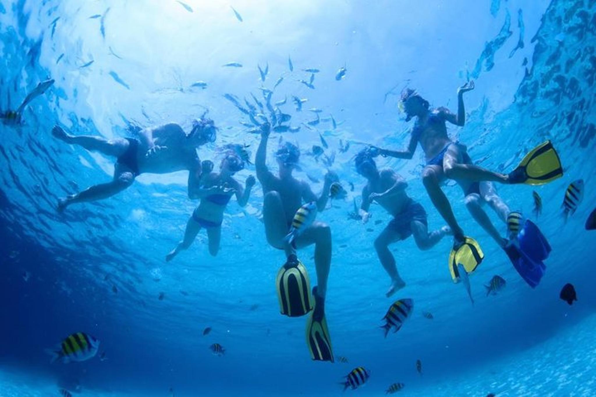 Ka'anapali Beach Snorkel Tour 2.5 Hr - Image 5