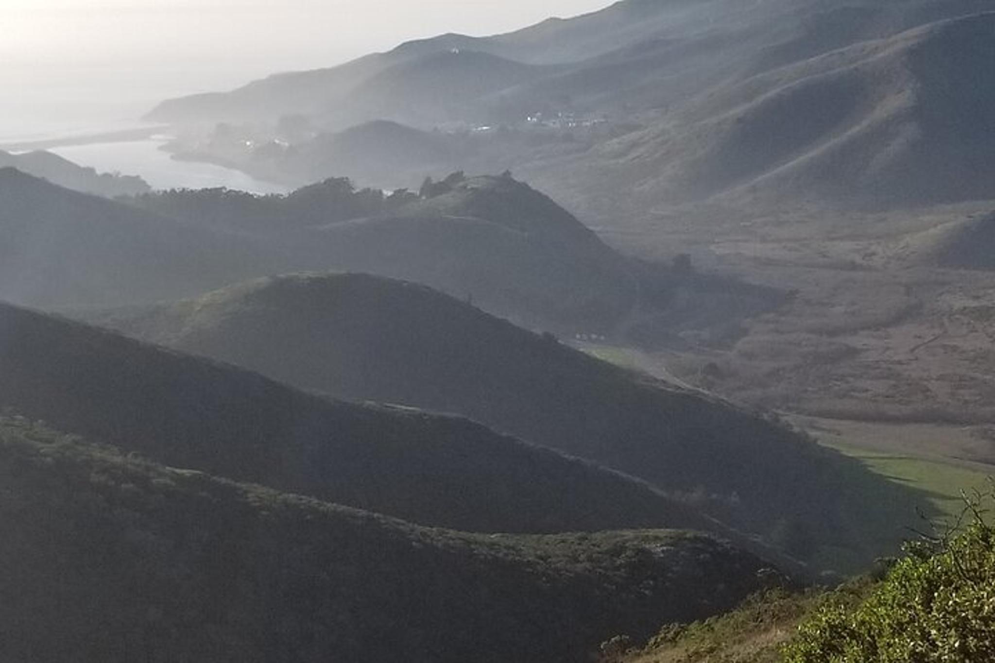 San Francisco Bay Cruise and Muir Woods Tour - Image 6