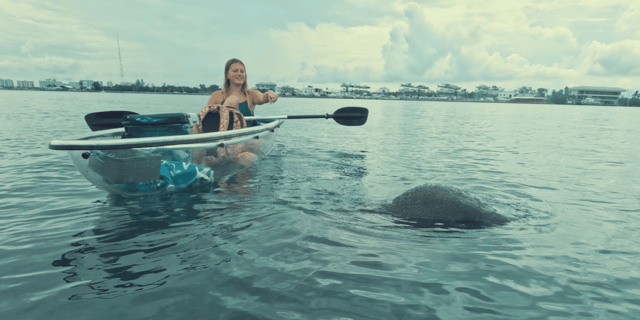 Sarasota Clear Kayak Mangrove Tunnel Tour - Image 3