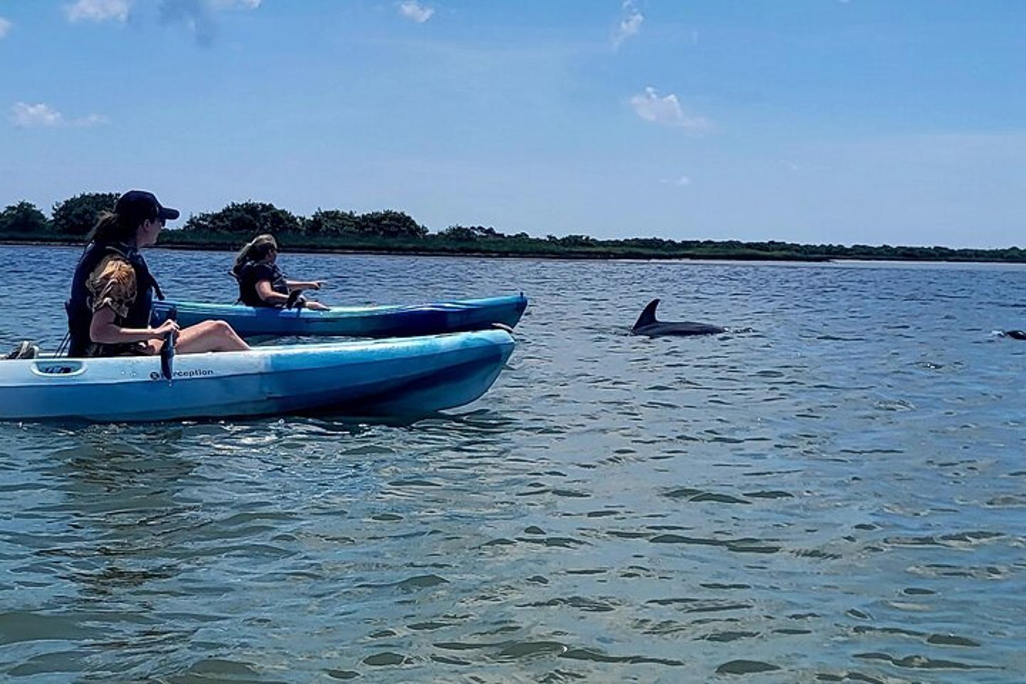 St. Augustine Dolphin Kayak Tour - Image 1