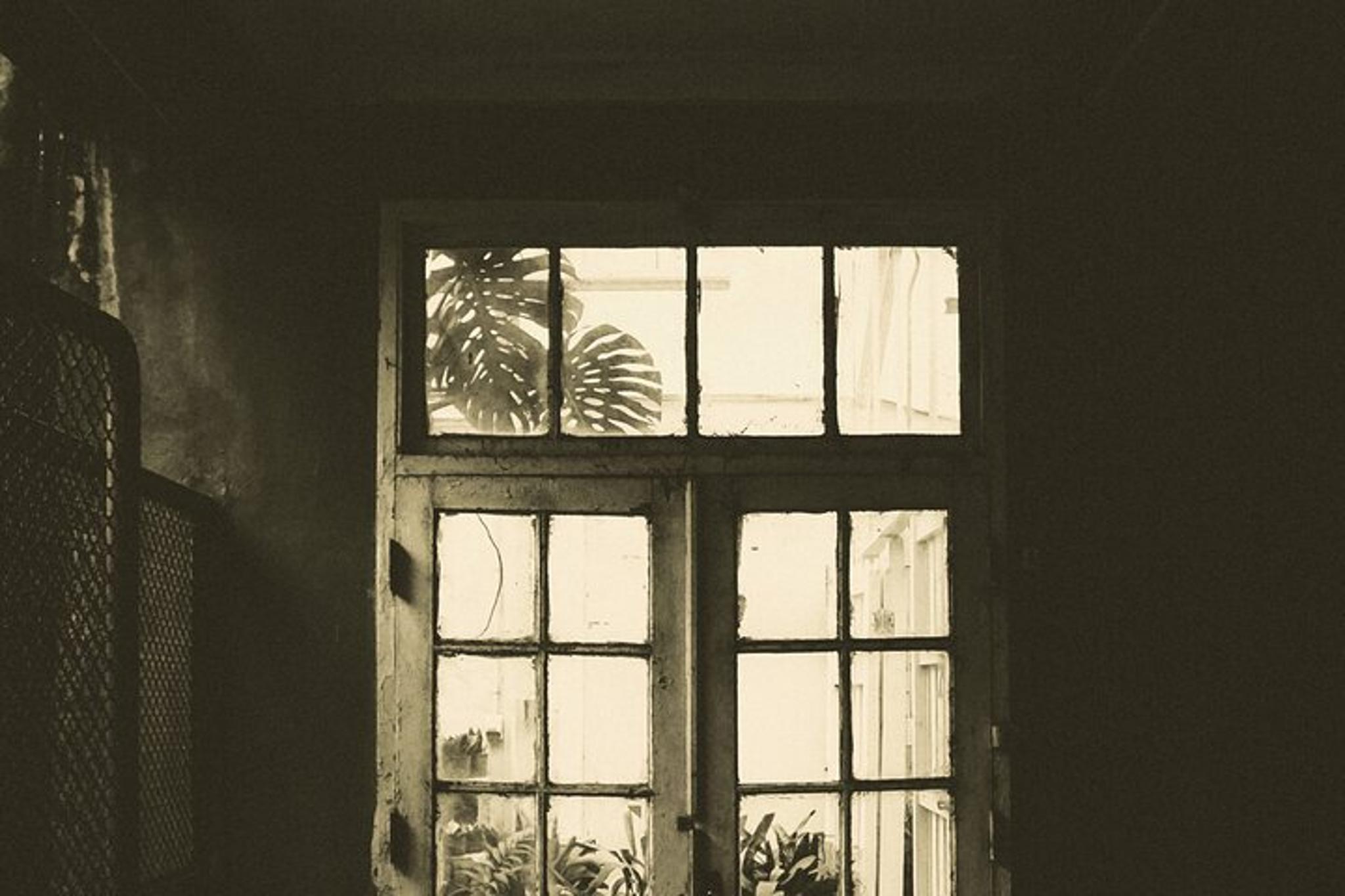 Galveston Phantoms of the Strand Tour 90 min - Image 3