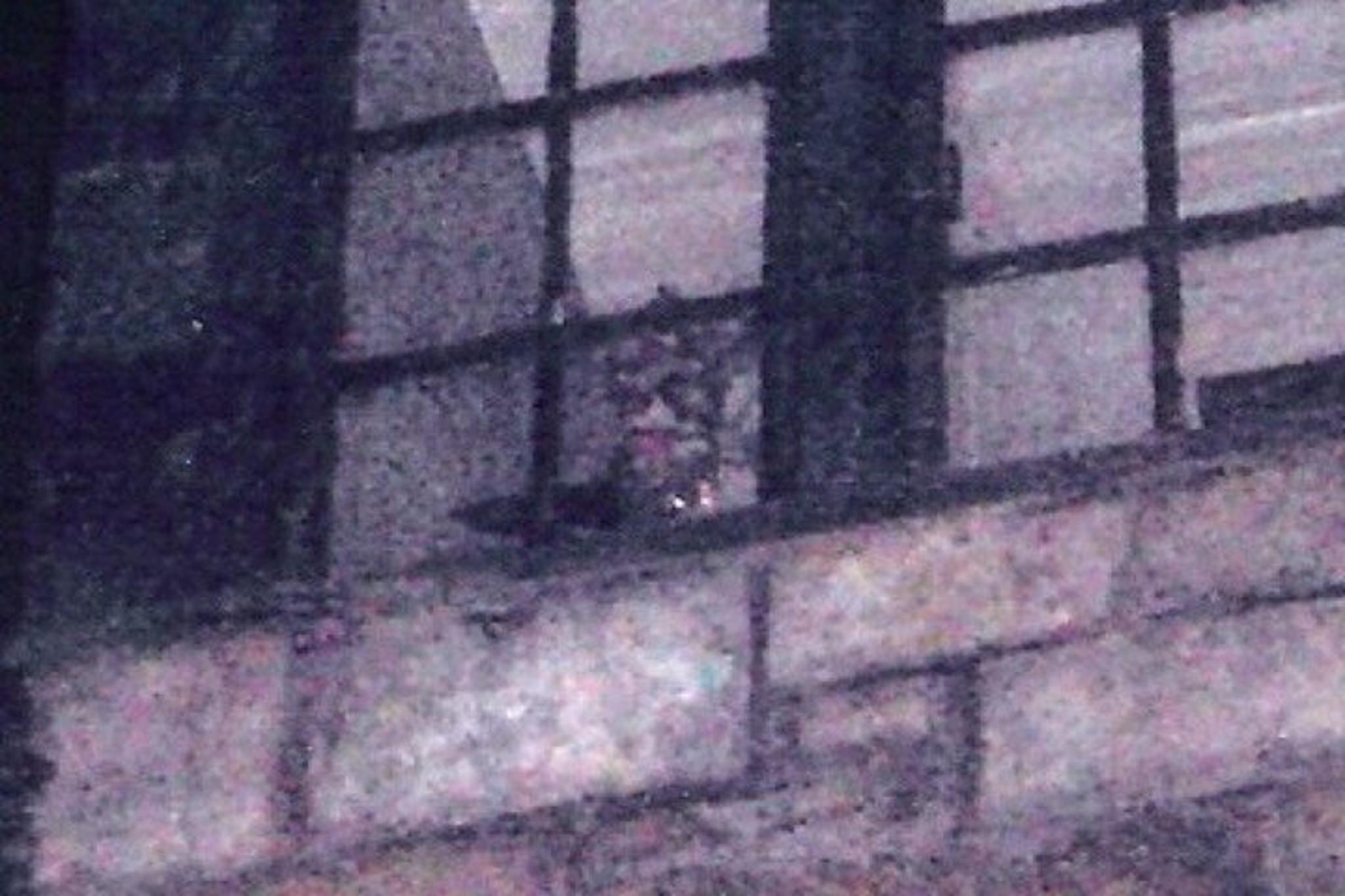 Gatlinburg Ghost and Haunt Tour - Image 6