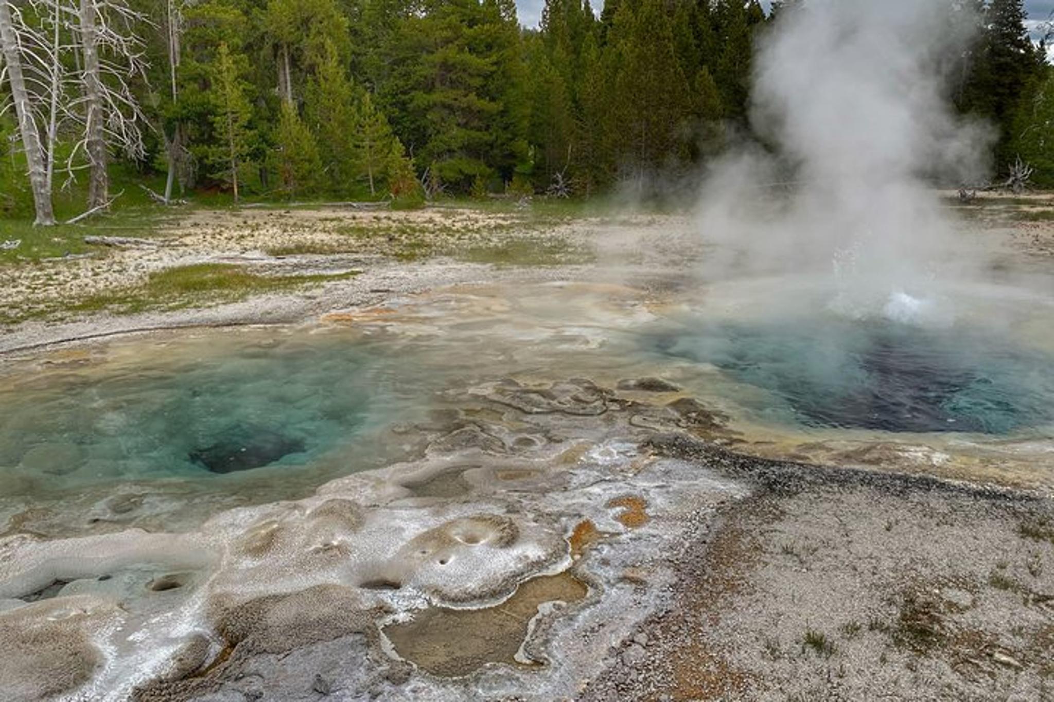 Yellowstone Private Day Tour in Lamar Valley - Image 5