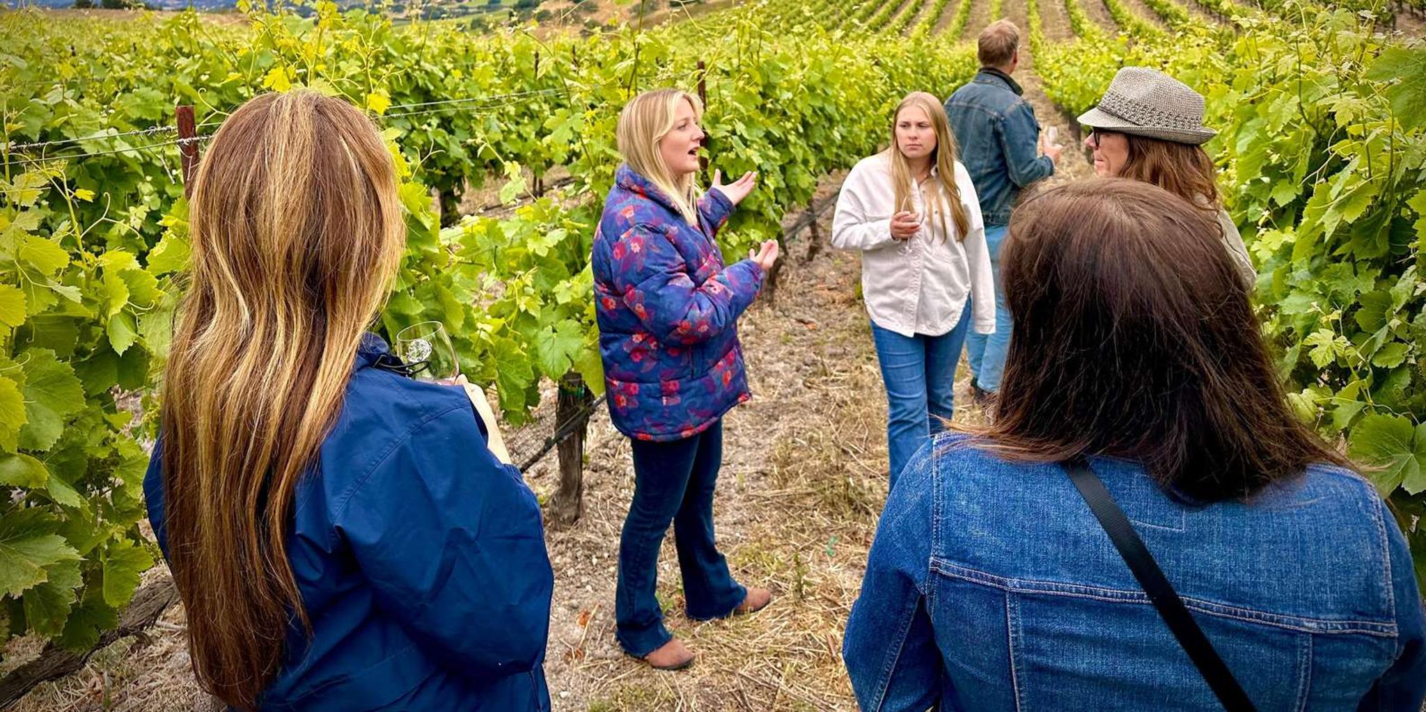 Santa Barbara Wine Tour to Exclusive Vineyards