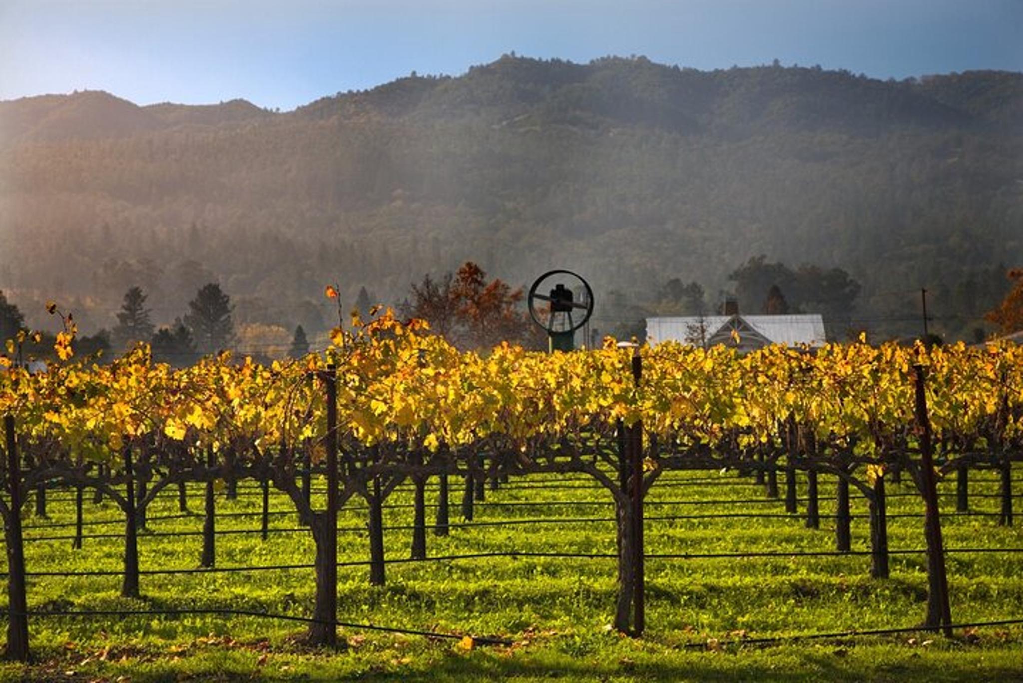 San Francisco Amador County Wine Tour Full-Day