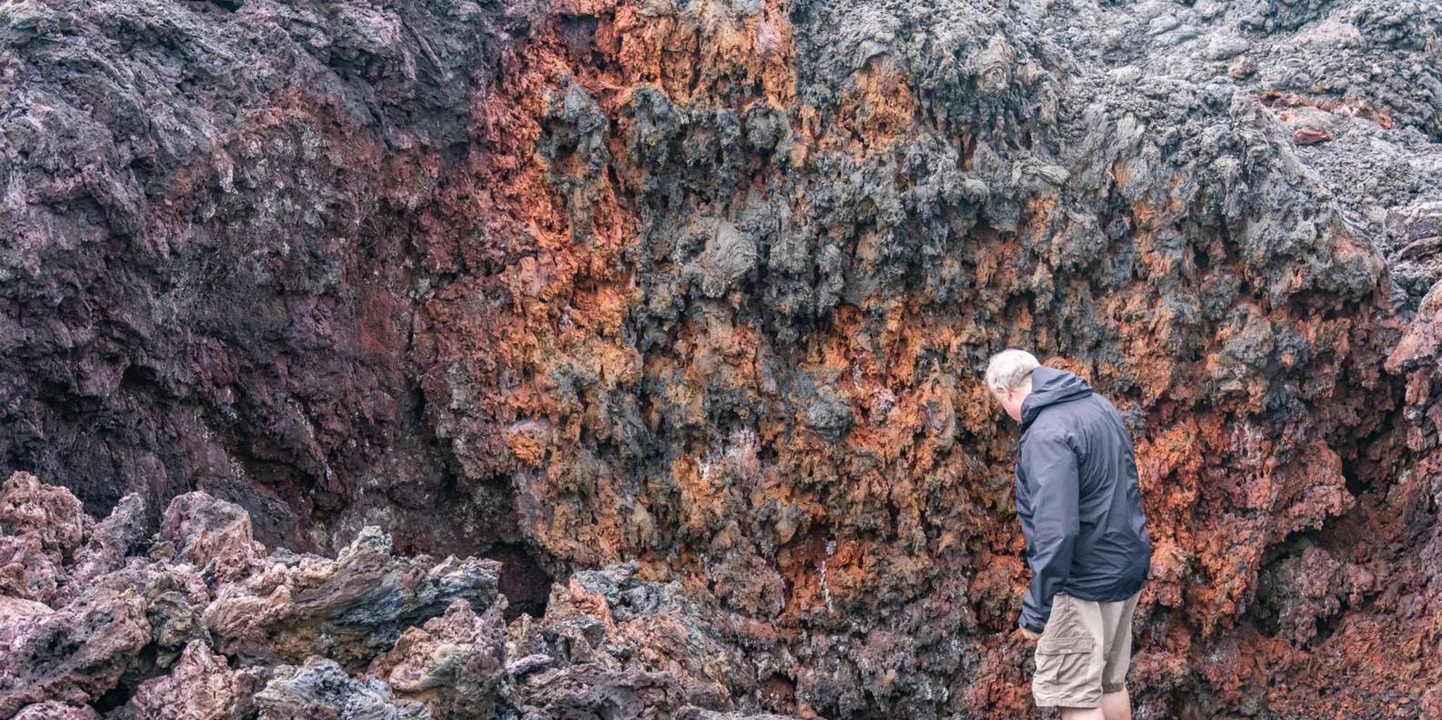 Hilo Volcanoes and Waterfalls Private Tour - Image 6